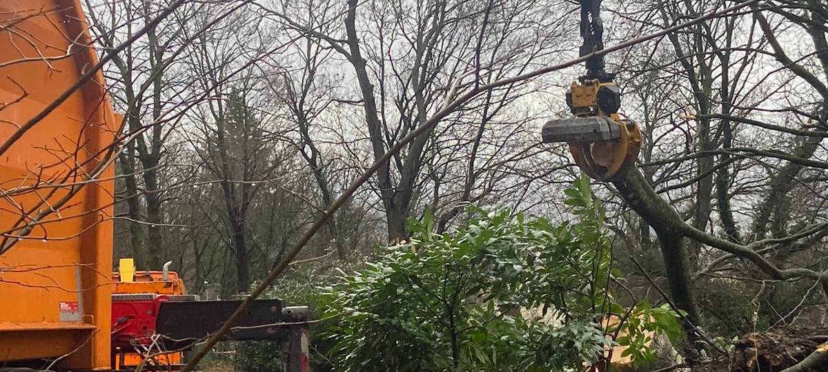 Aachen: Sturmschäden vor allem am Lousberg