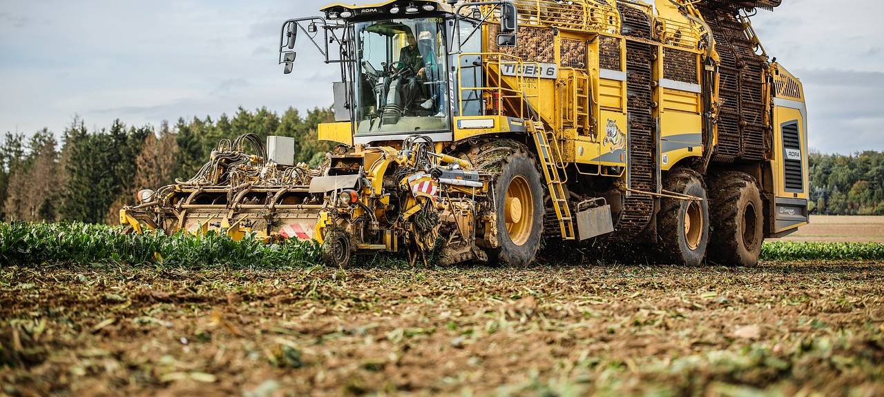 Rübenkampagne beendet