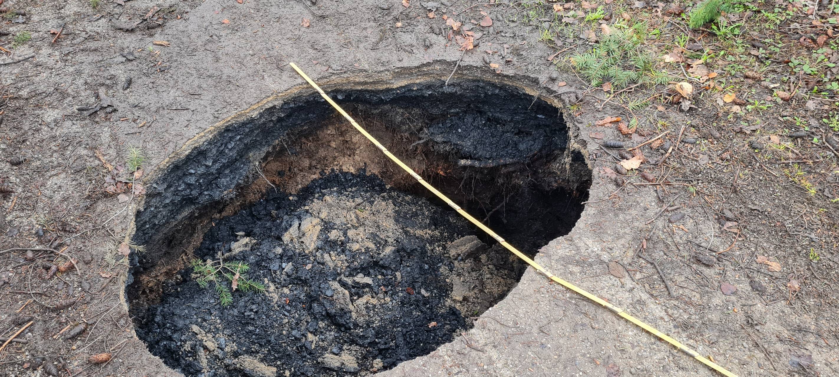 Boden im Eschweiler Stadtwald abgesackt