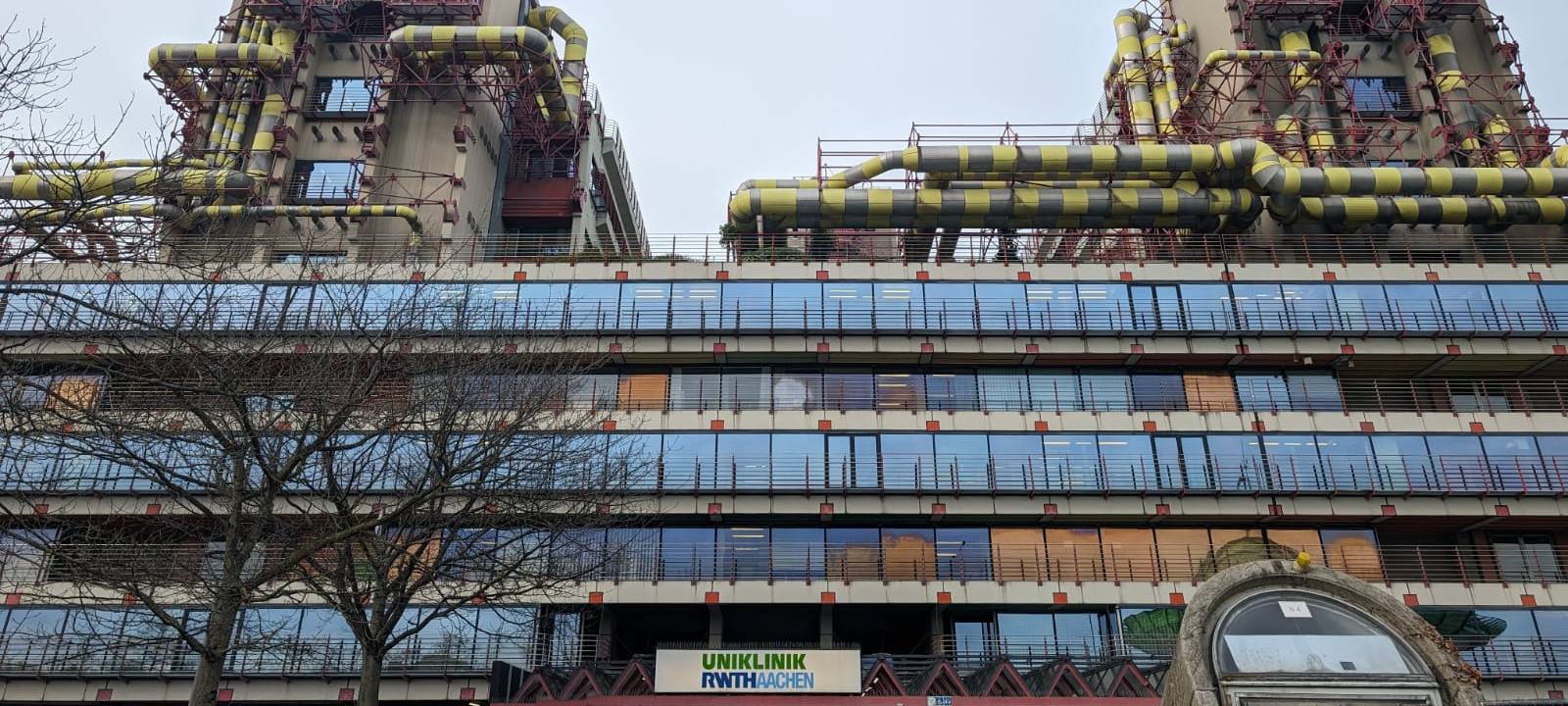 1,6 Millionen Euro für Biomedizin-Forschung zu Organfibrose