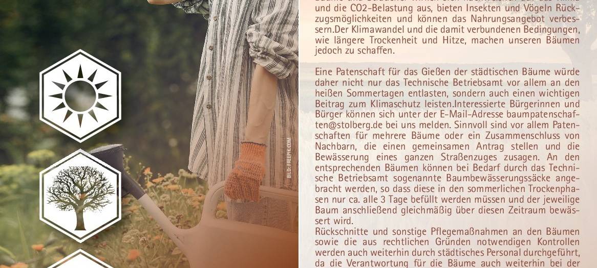 Stolberg sucht Baumpaten