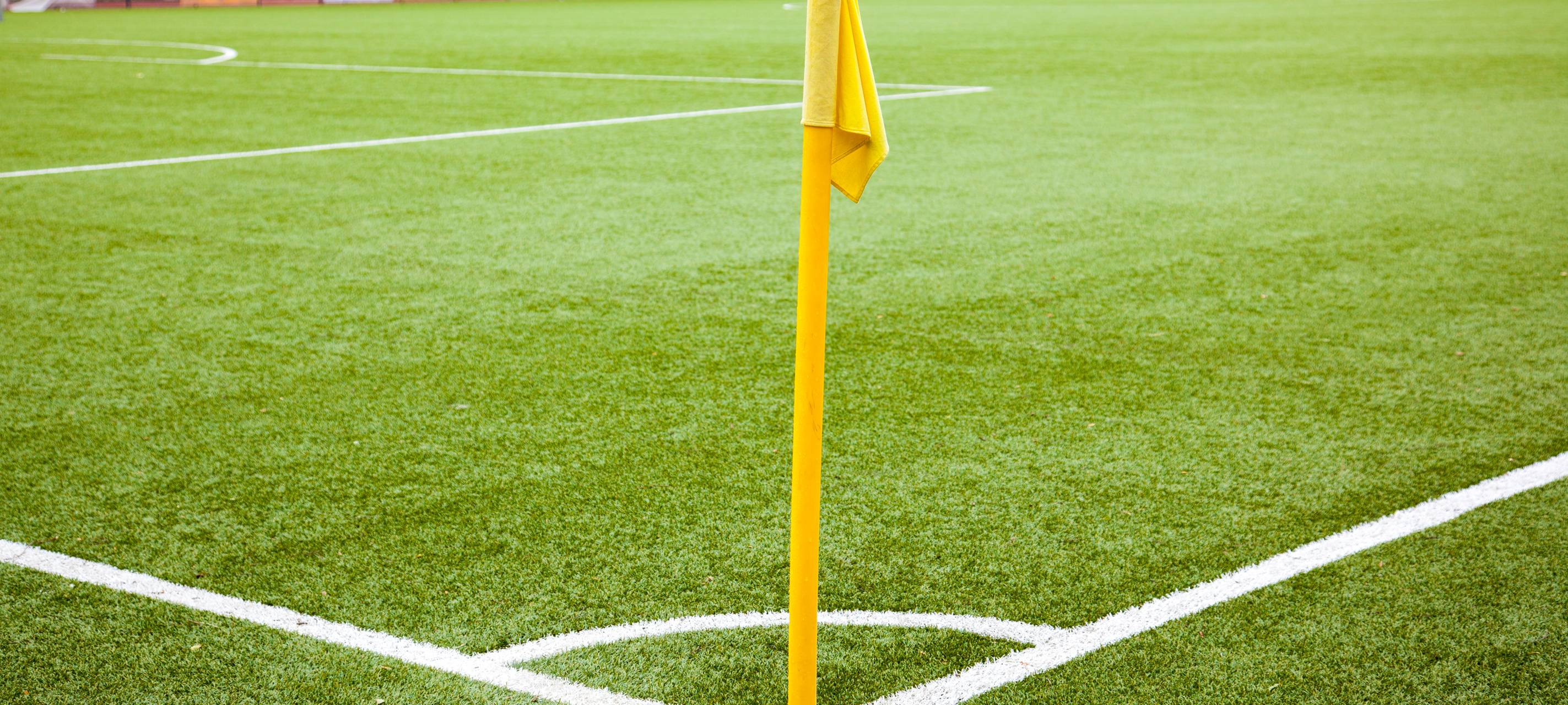 Alemannia bekommt neuen Naturrasenplatz