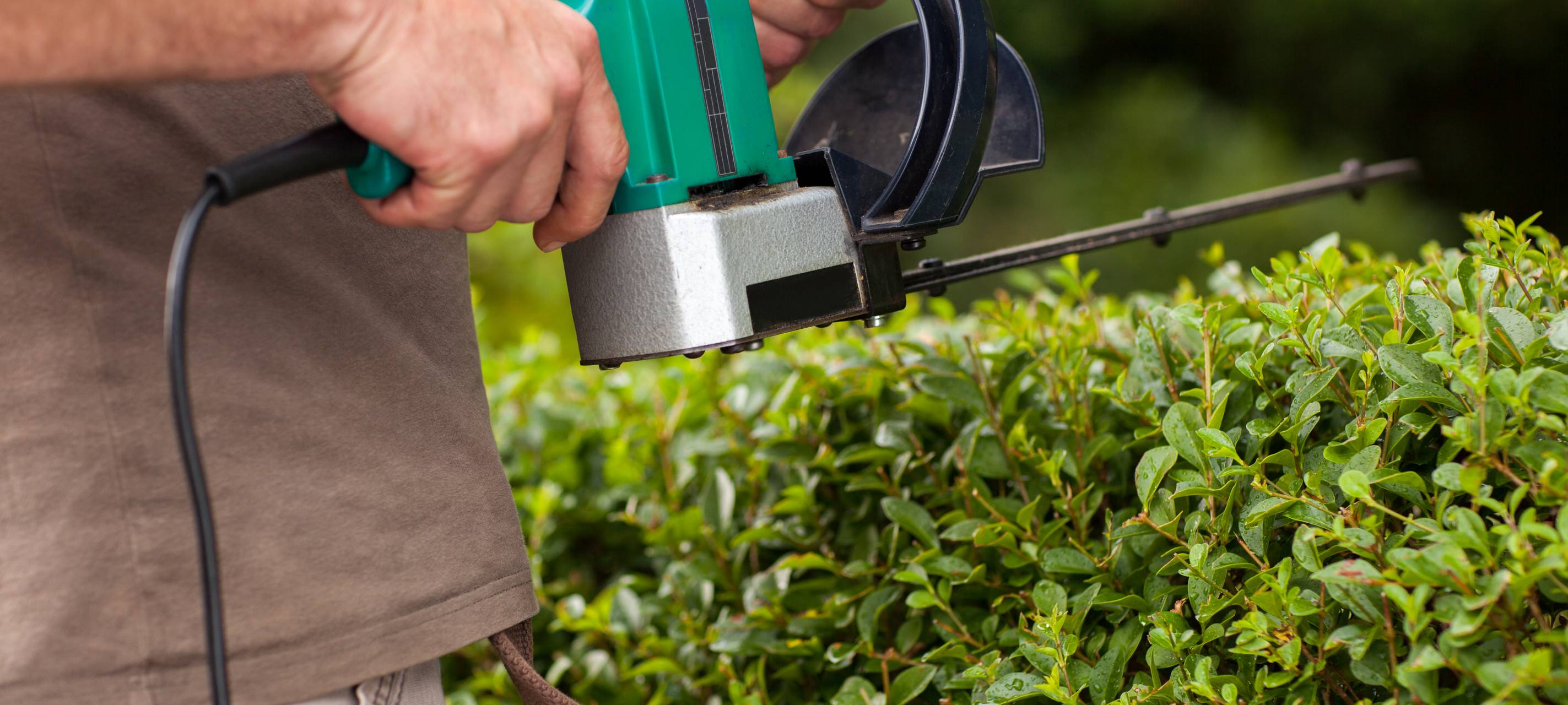 Fachanwälte informieren über Nachbarschaftsrecht
