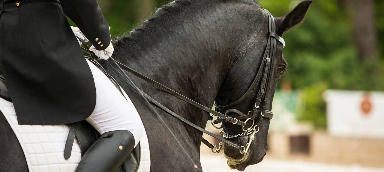 Die Aachen Jumping Youngstars