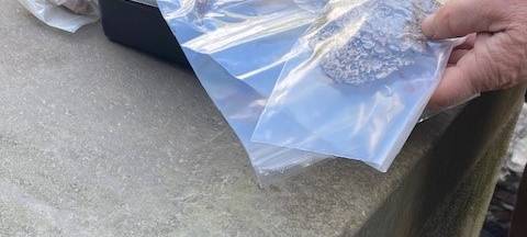 Neue Funde am Katschhof