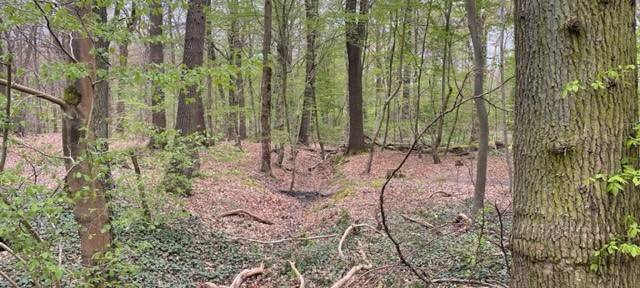 Prüfungen im Aachener Wald