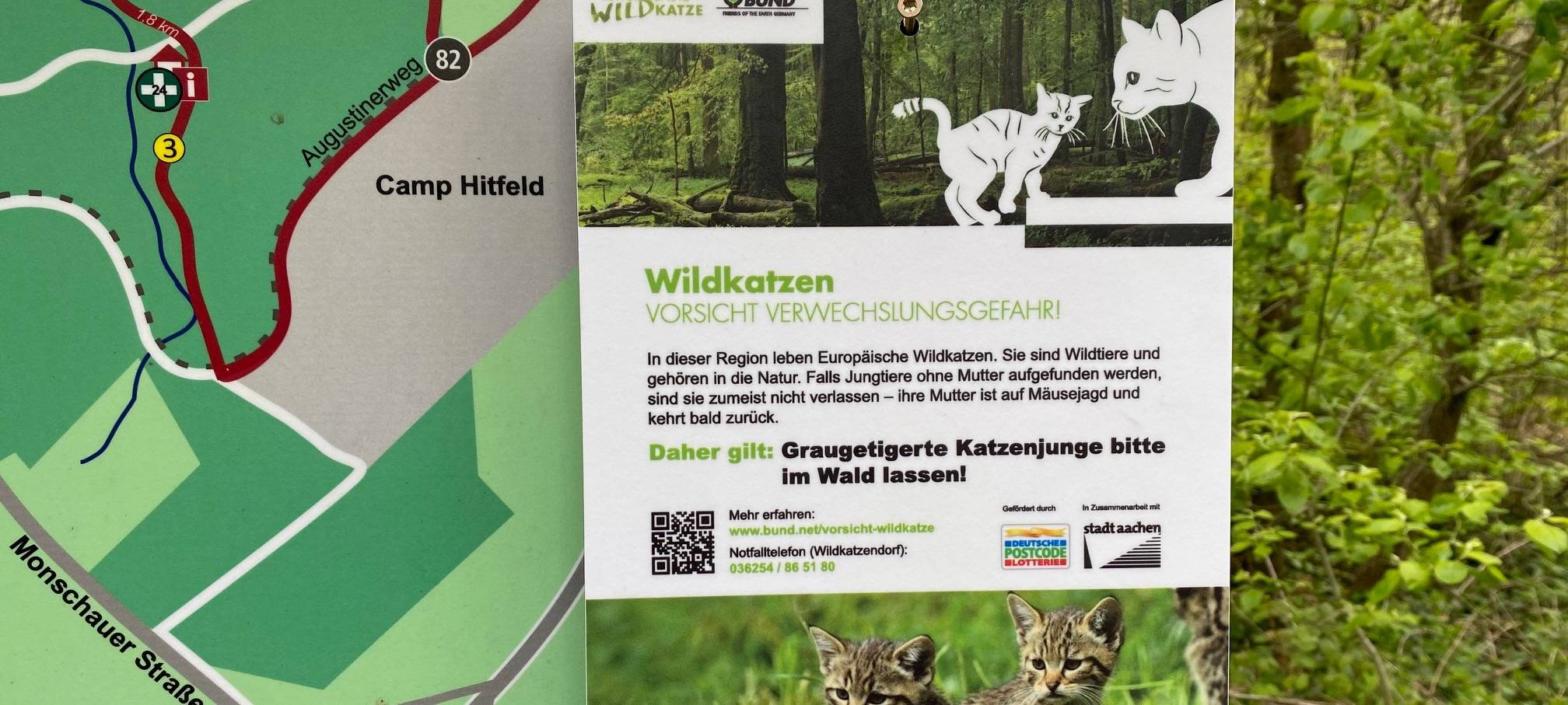 Brutzeit: Vorsicht im Wald!