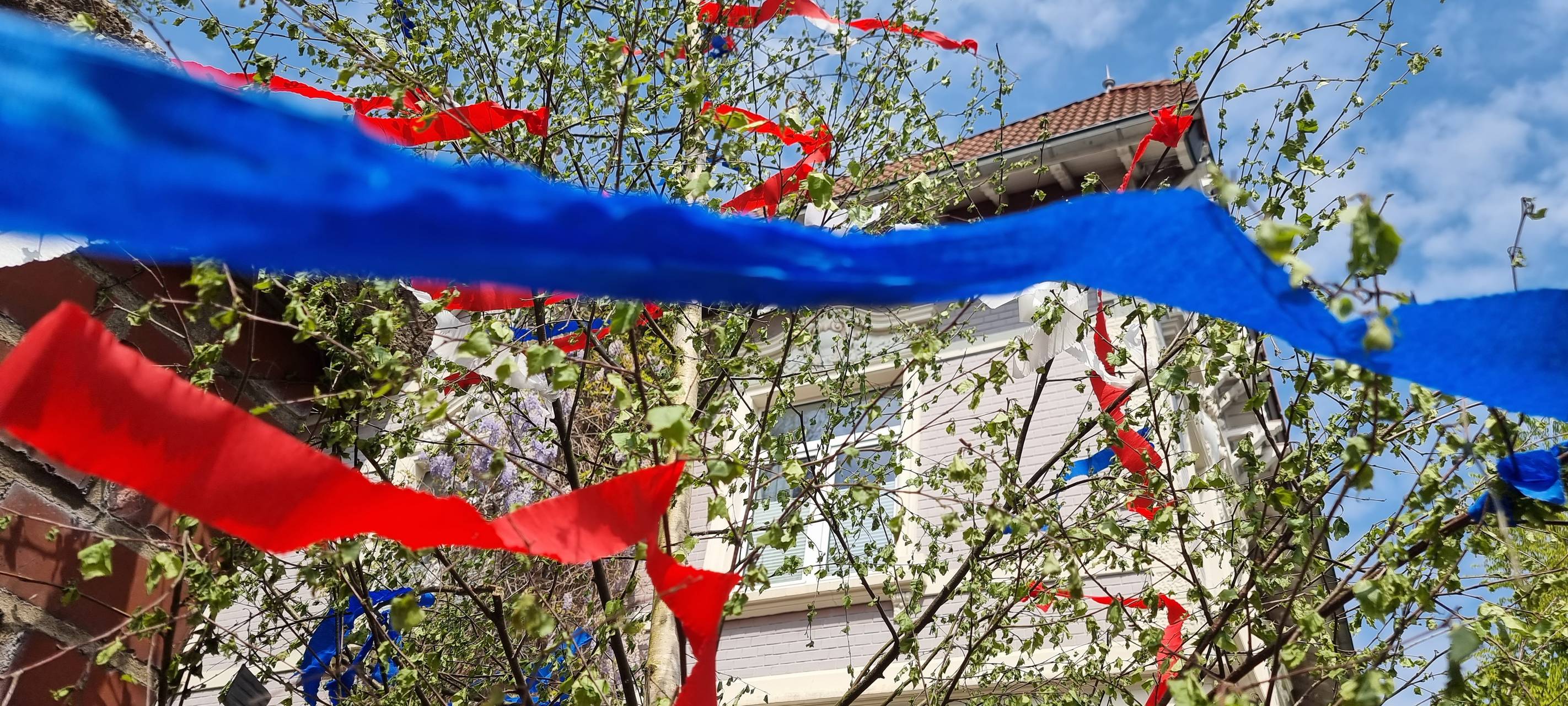 Hier bekommt Ihr legal Maibäume