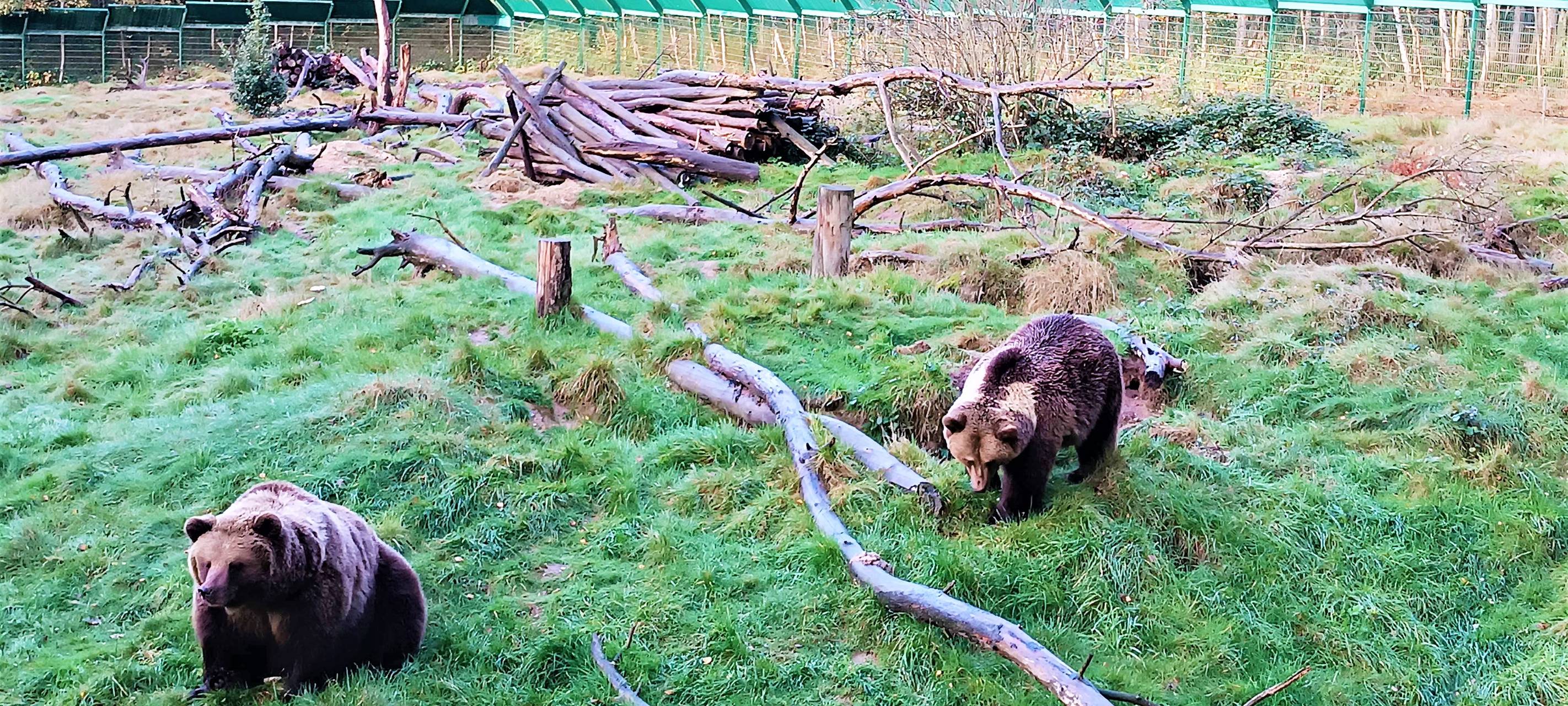 Gangelt: Kind verhakt sich an Bären-Anlage