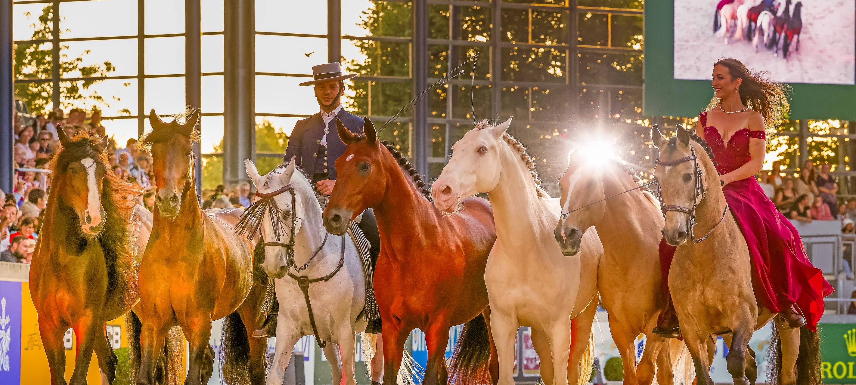 CHIO Auftakt am Wochenende