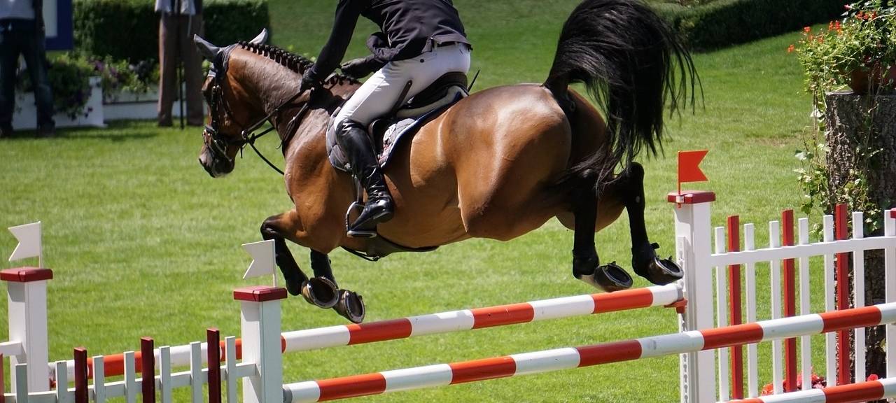 Der CHIO Aachen beginnt