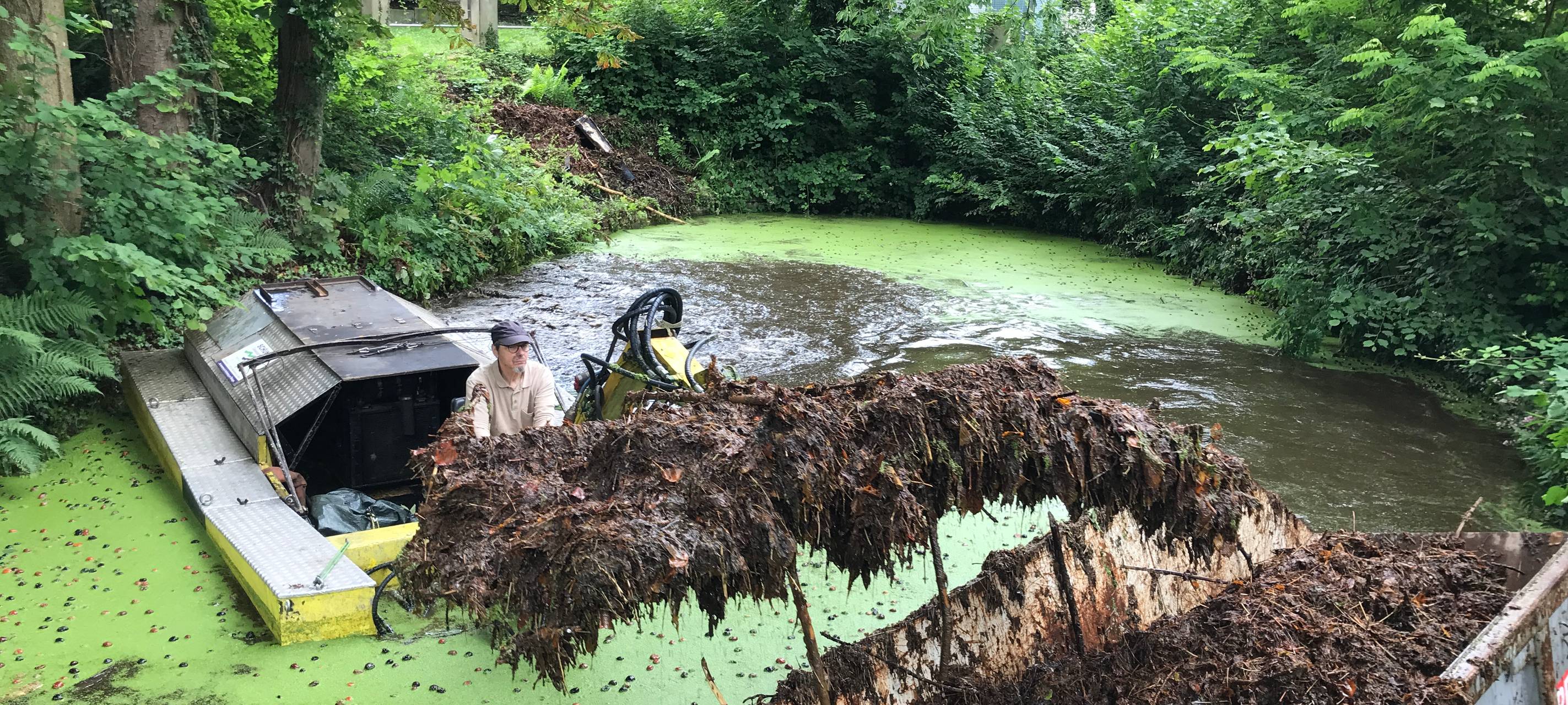 Teich in Aachen-Laurensberg entschlammt