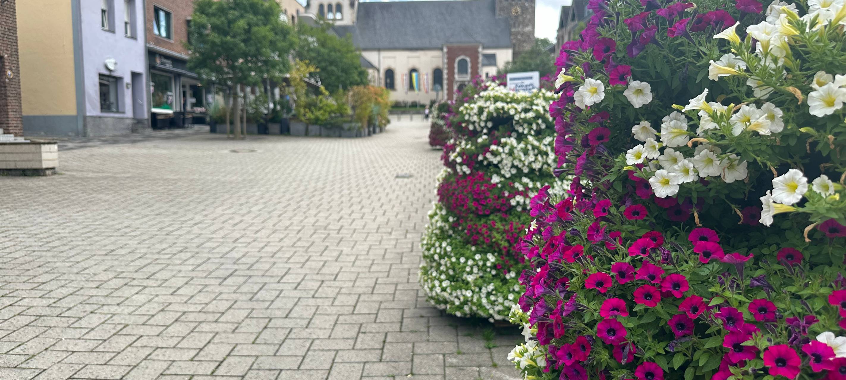 Würselen: Bunt wie nie im Sommer 2024