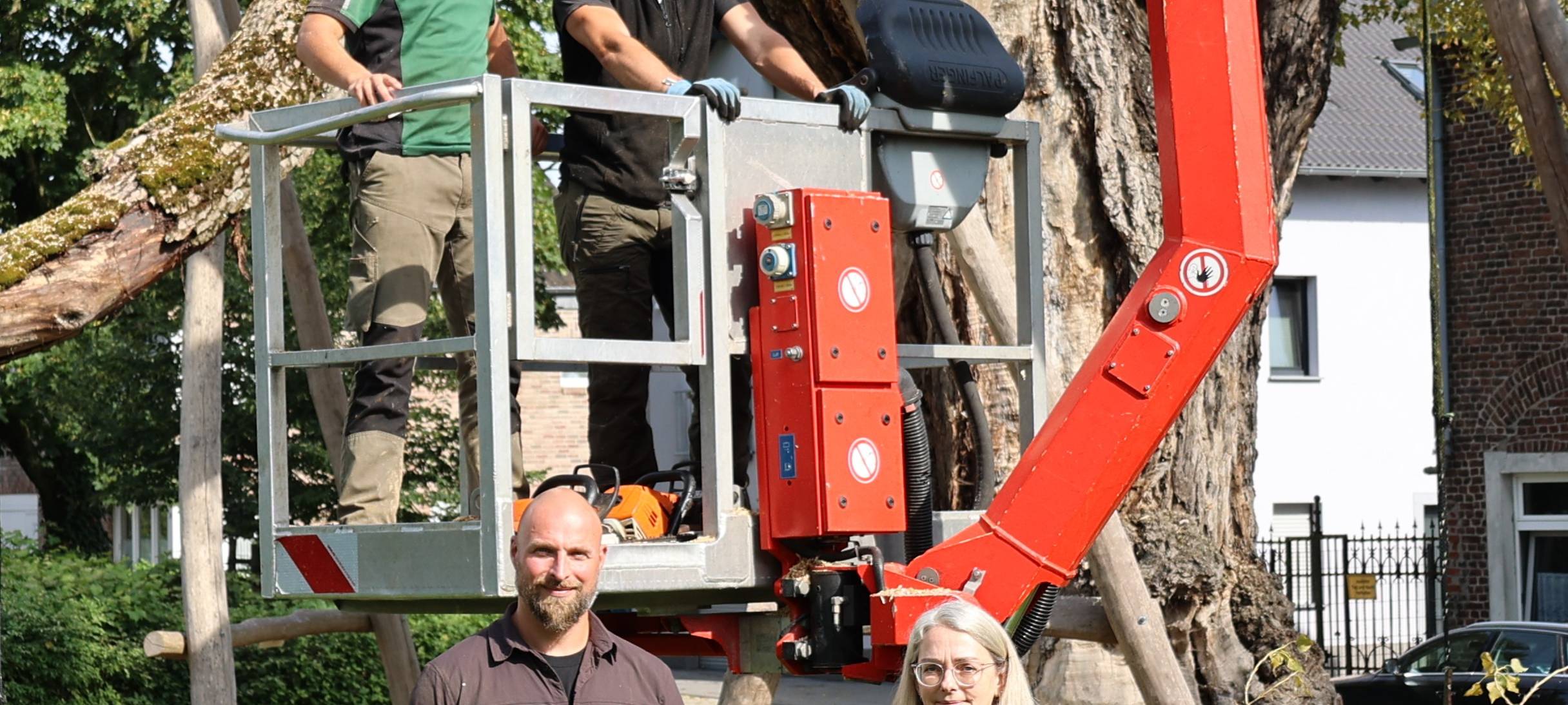 Pleyer Pappel bleibt erhalten