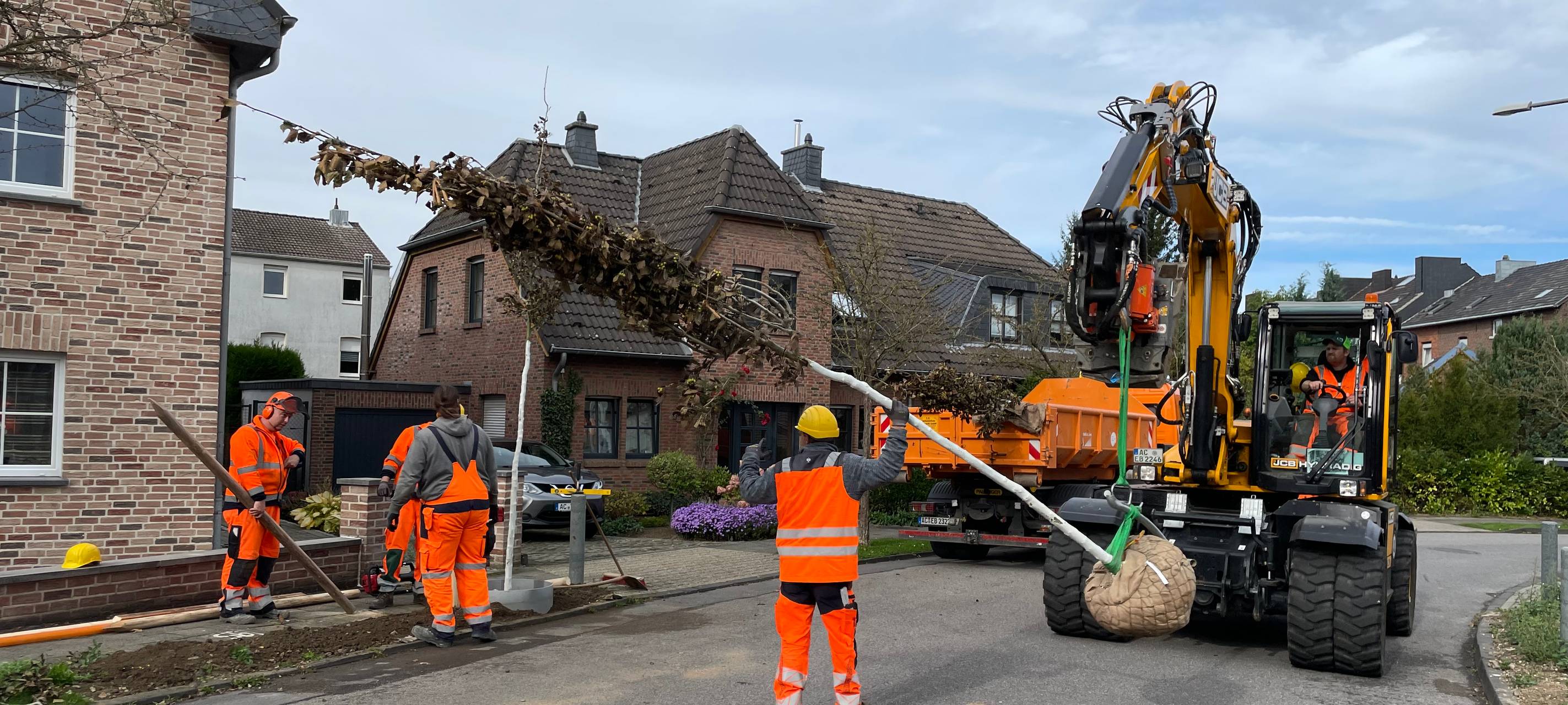 450 neue Bäume in Aachen