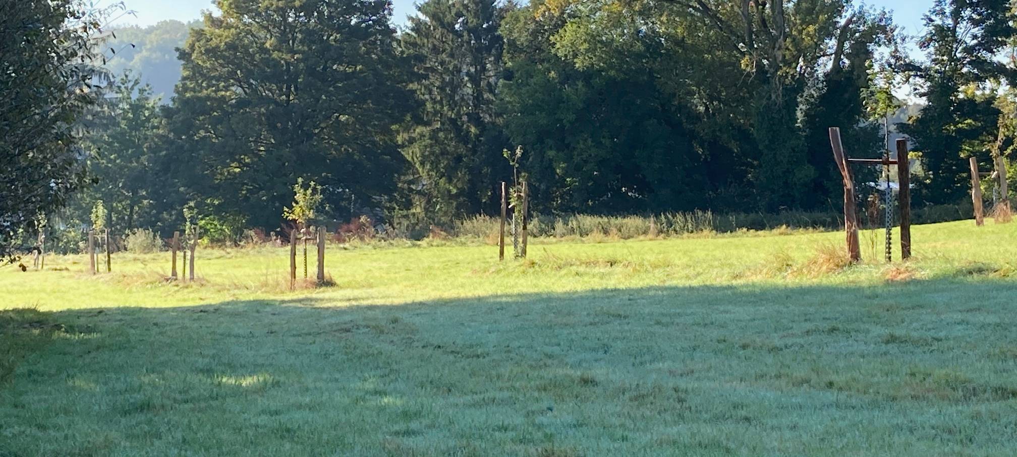 Streuobstwiese Röhe wächst, weitere Baum-Paten gesucht