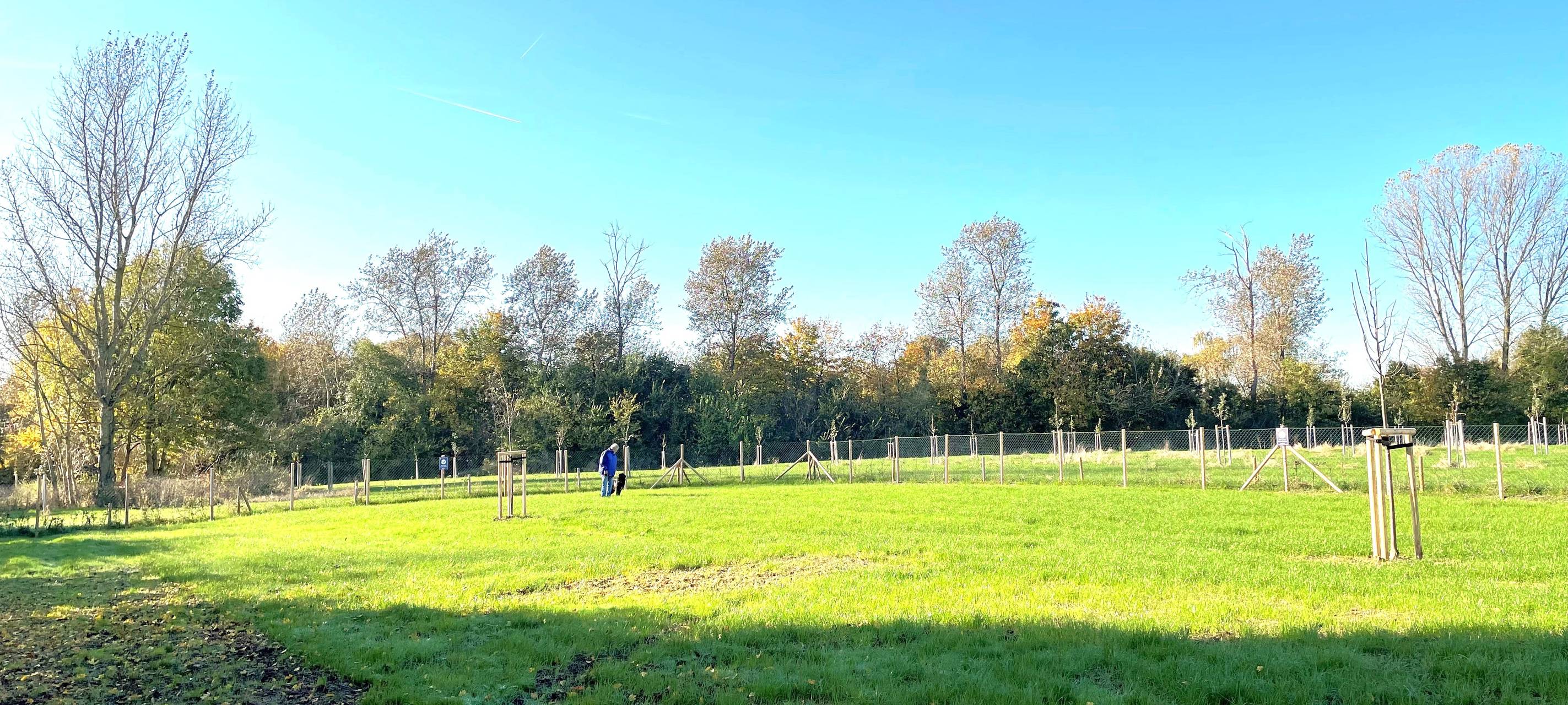 Baesweilers erste Hundeauslaufwiese in Setterich