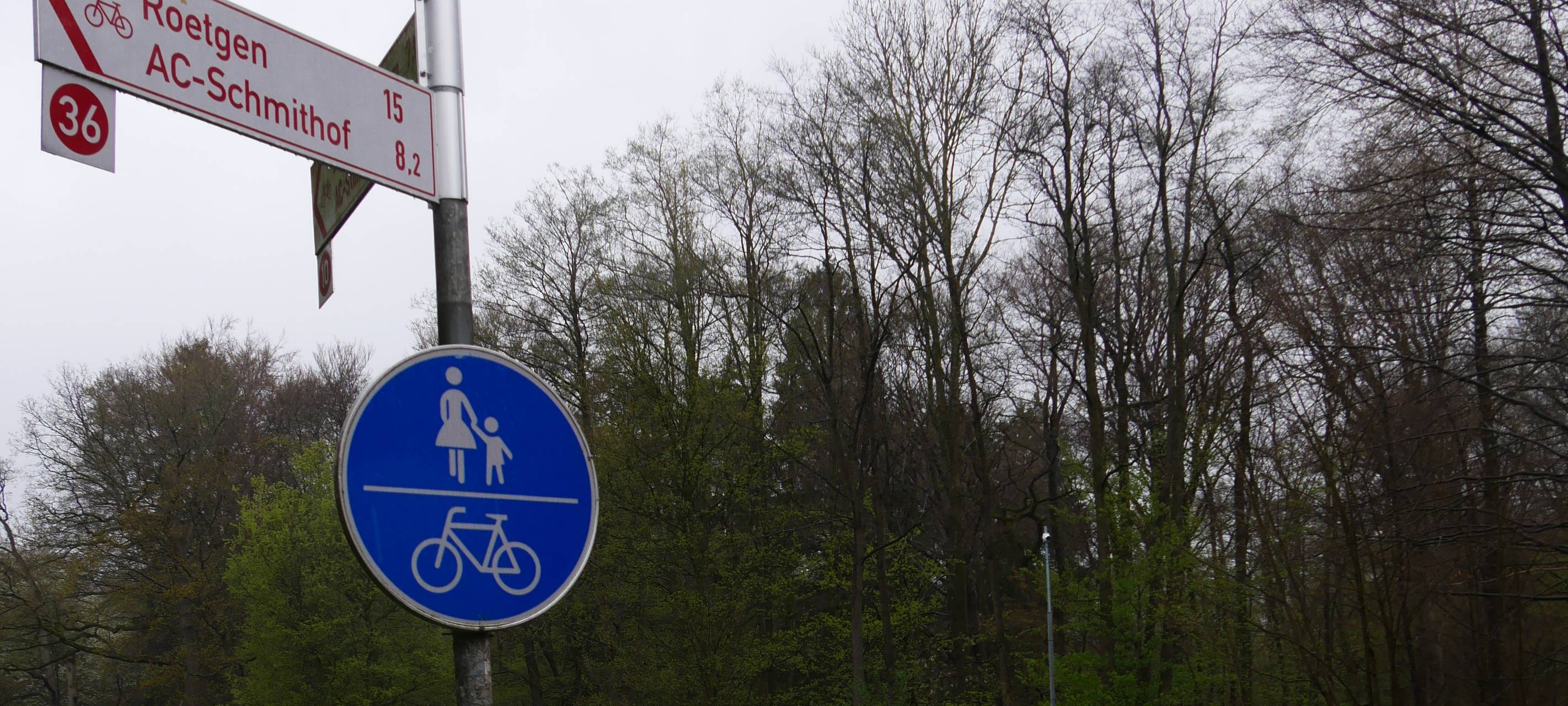 Grüne Eiche: KI für mehr Sicherheit von Radfahrenden