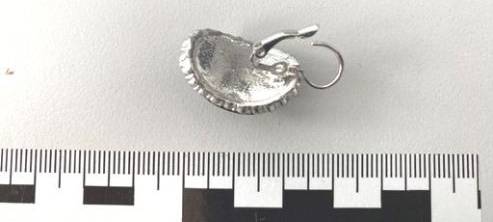 Wem gehört dieser Ohrring?