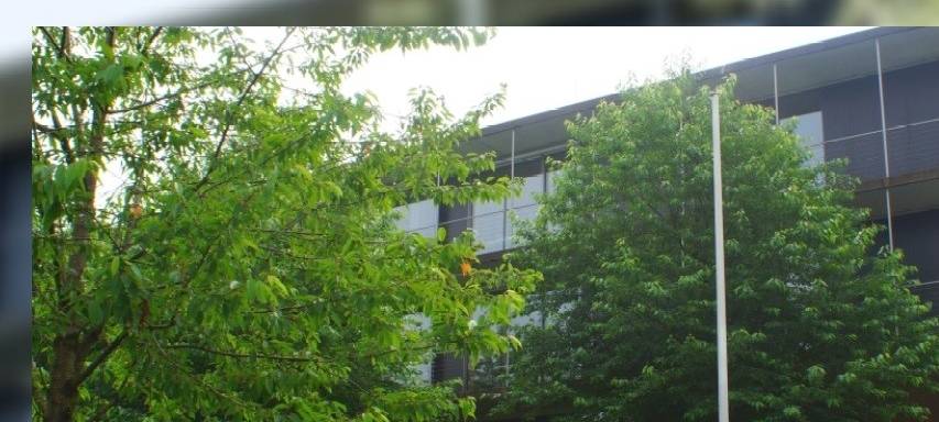 Parolen am Inda-Gymnasium: Staatsschutz bittet um Hinweise