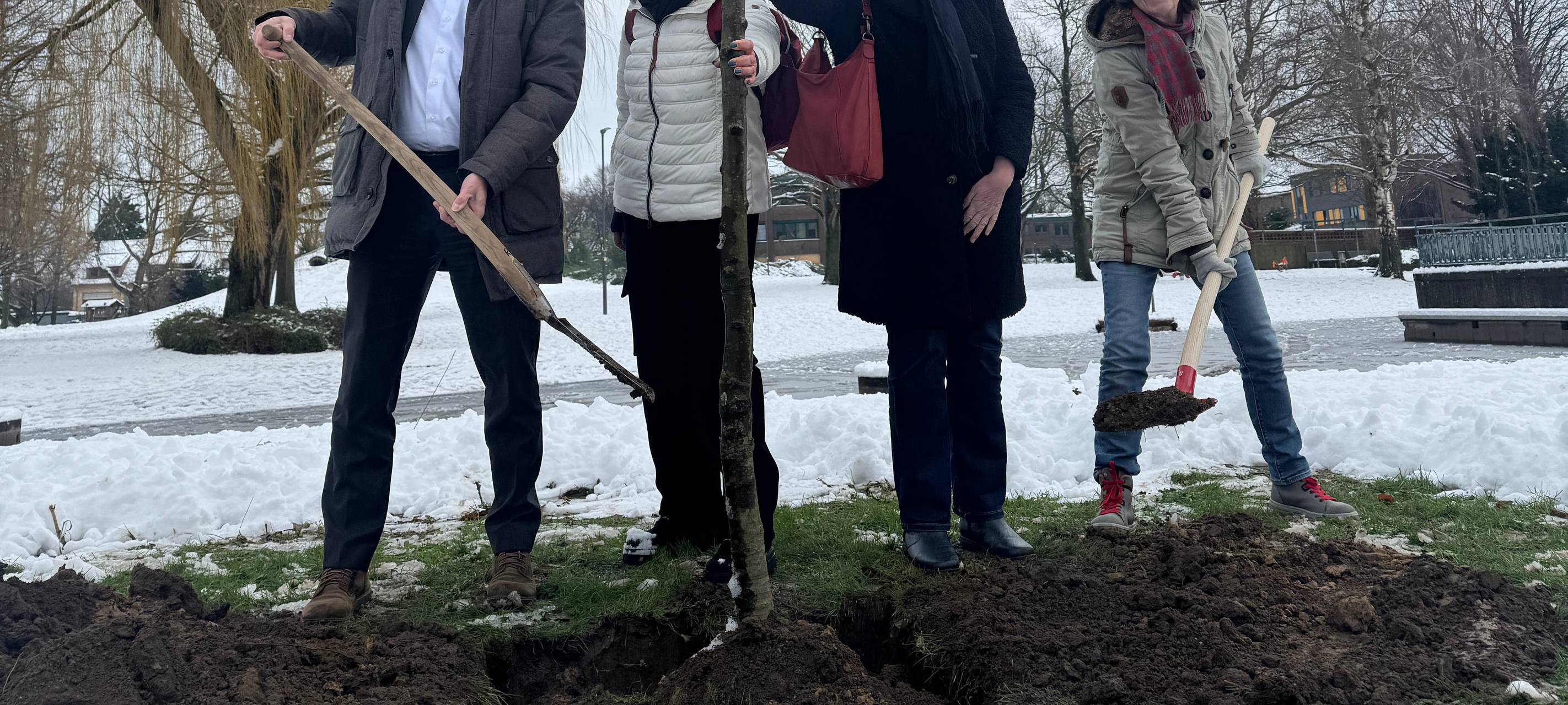 Lions Club setzt jedes Jahr den "Baum des Jahres"