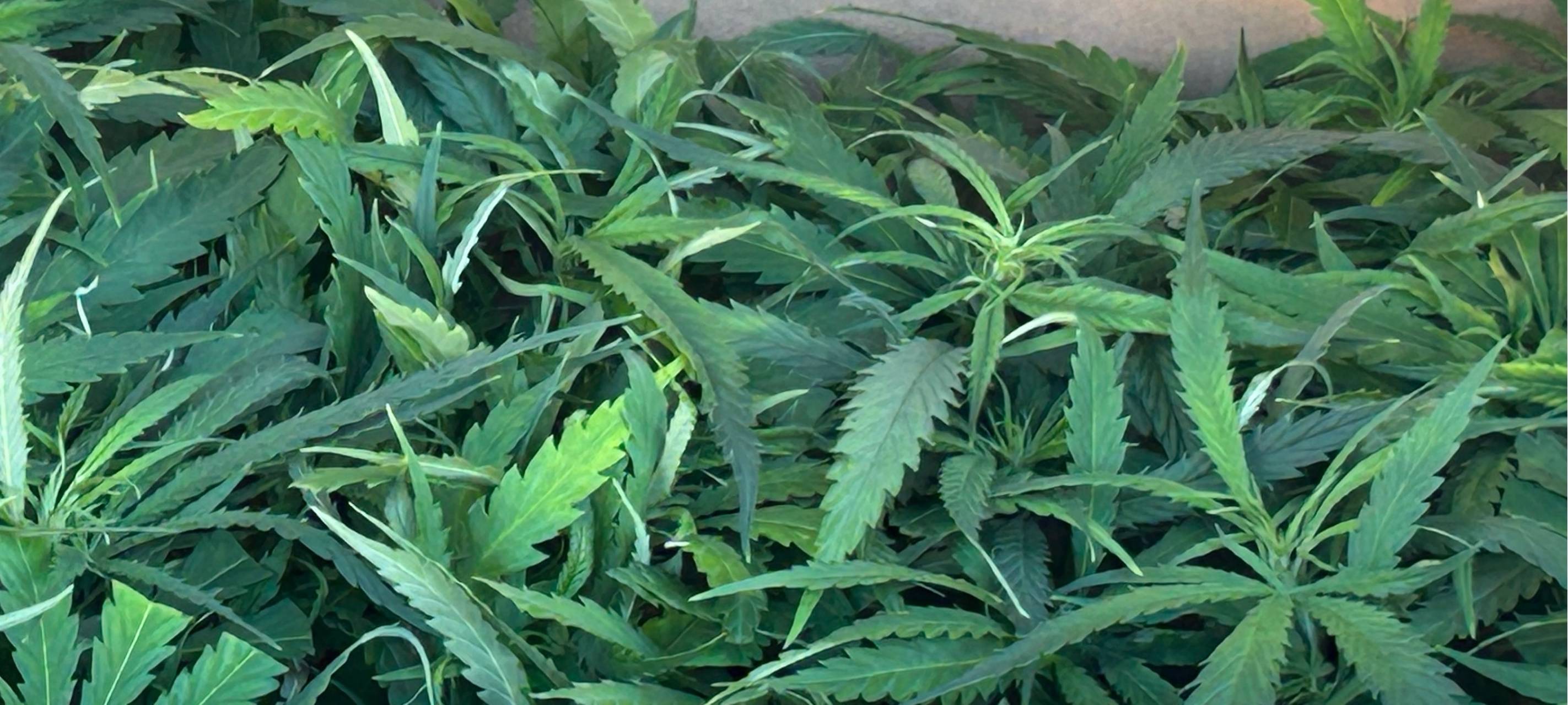 Zoll: Drogenfunde in Herzogenrath