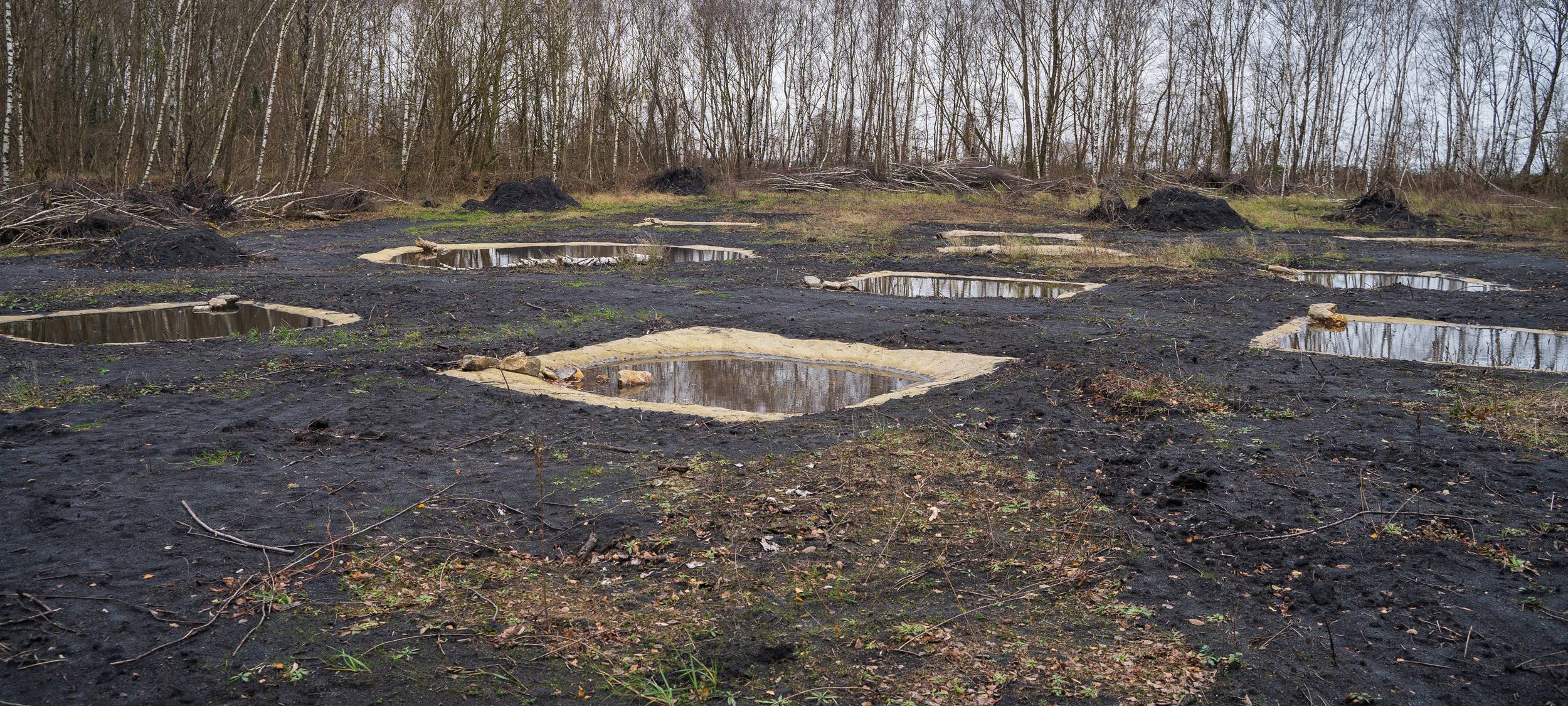 Amphibienteiche in Merkstein, Ausstellung im Rathaus