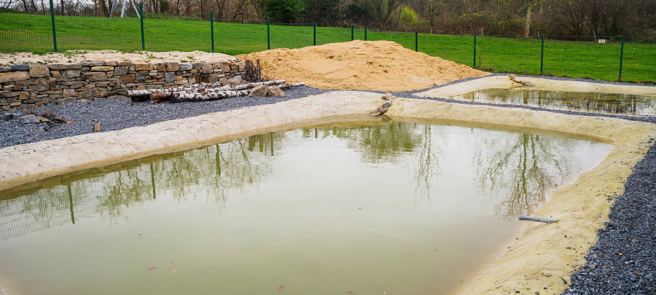 Amphibienteiche in Merkstein, Ausstellung im Rathaus