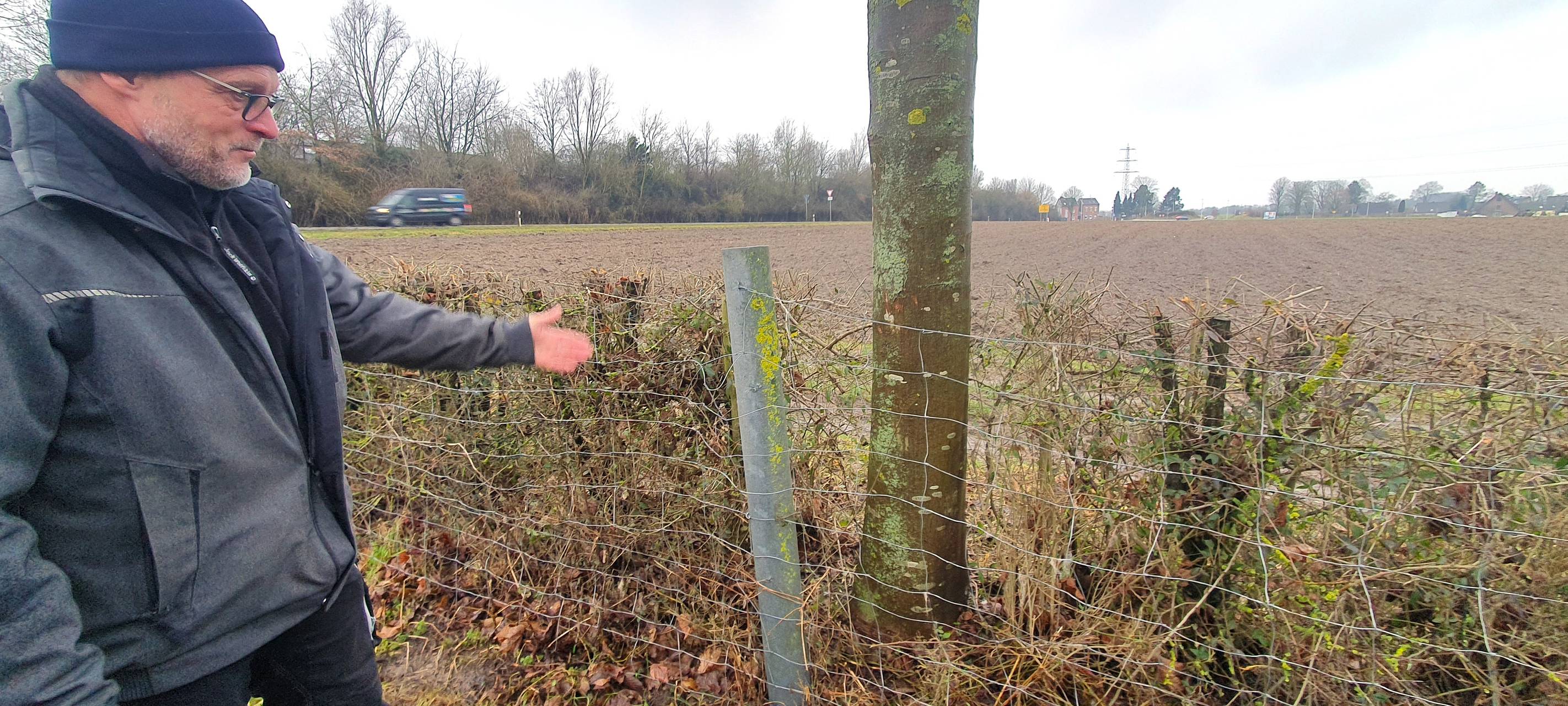 Geklaute Schafe in Bardenberg: Zeugen gesucht