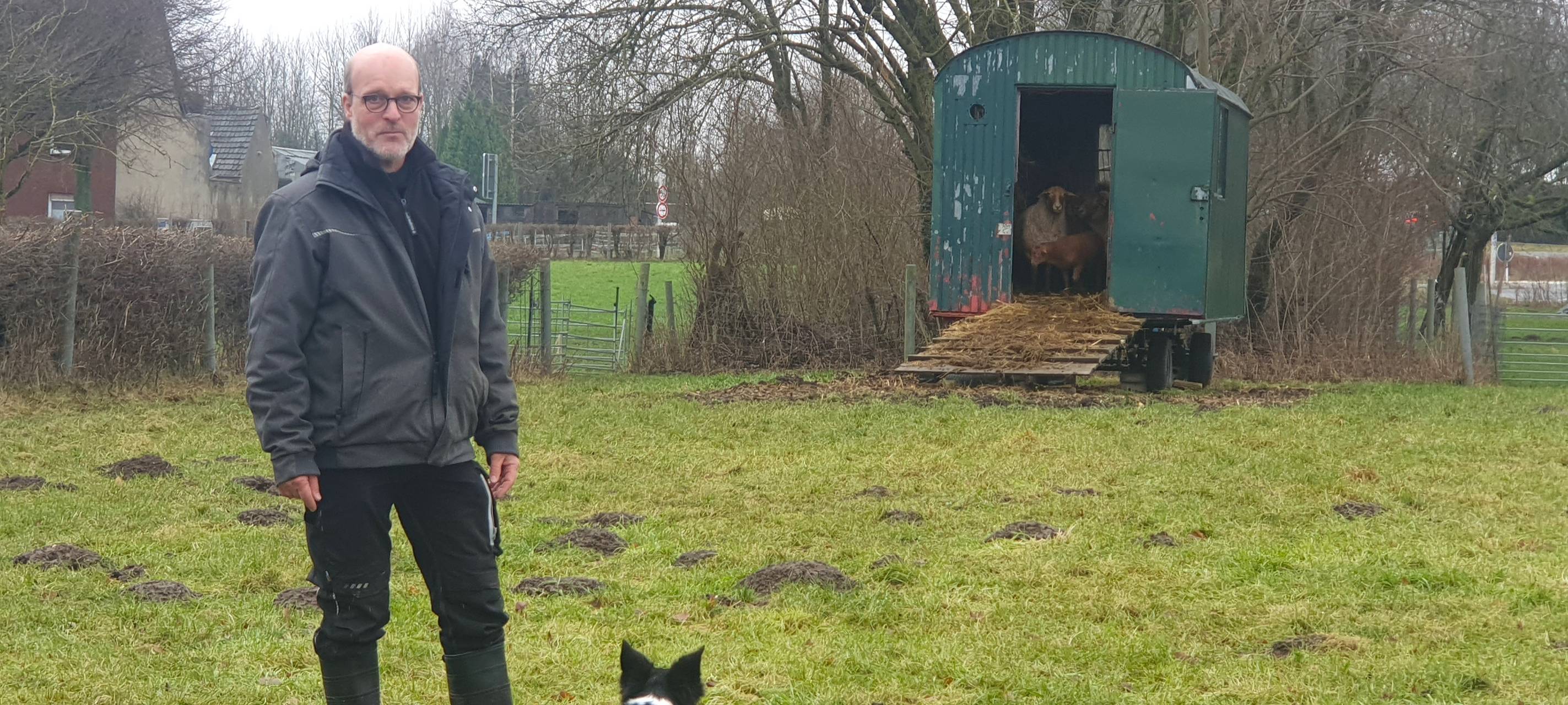 Geklaute Schafe in Bardenberg: Zeugen gesucht