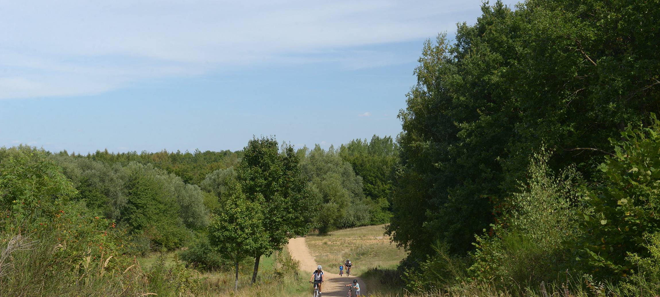 Erstes Gravelride-Rennen am Sonntag auf der Sophienhöhe