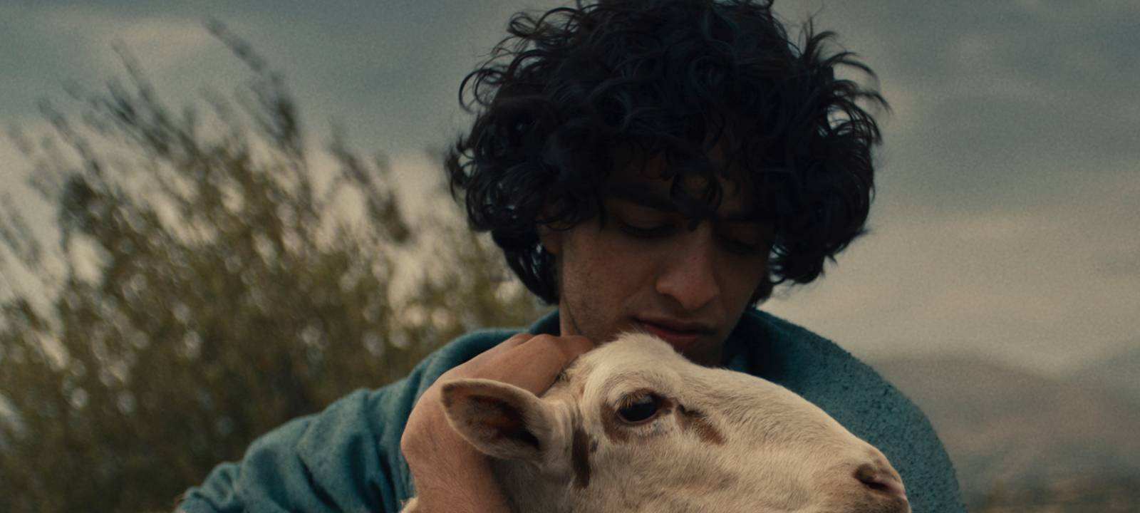 David bei der Arbeit.