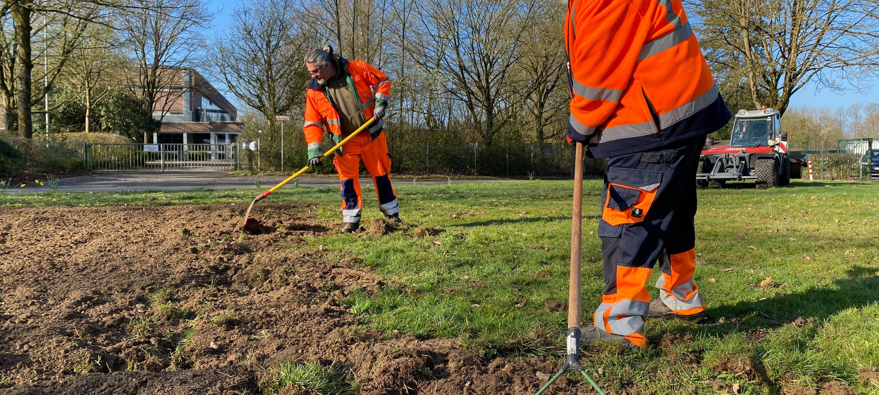 Neue Blühstreifen für Aachen
