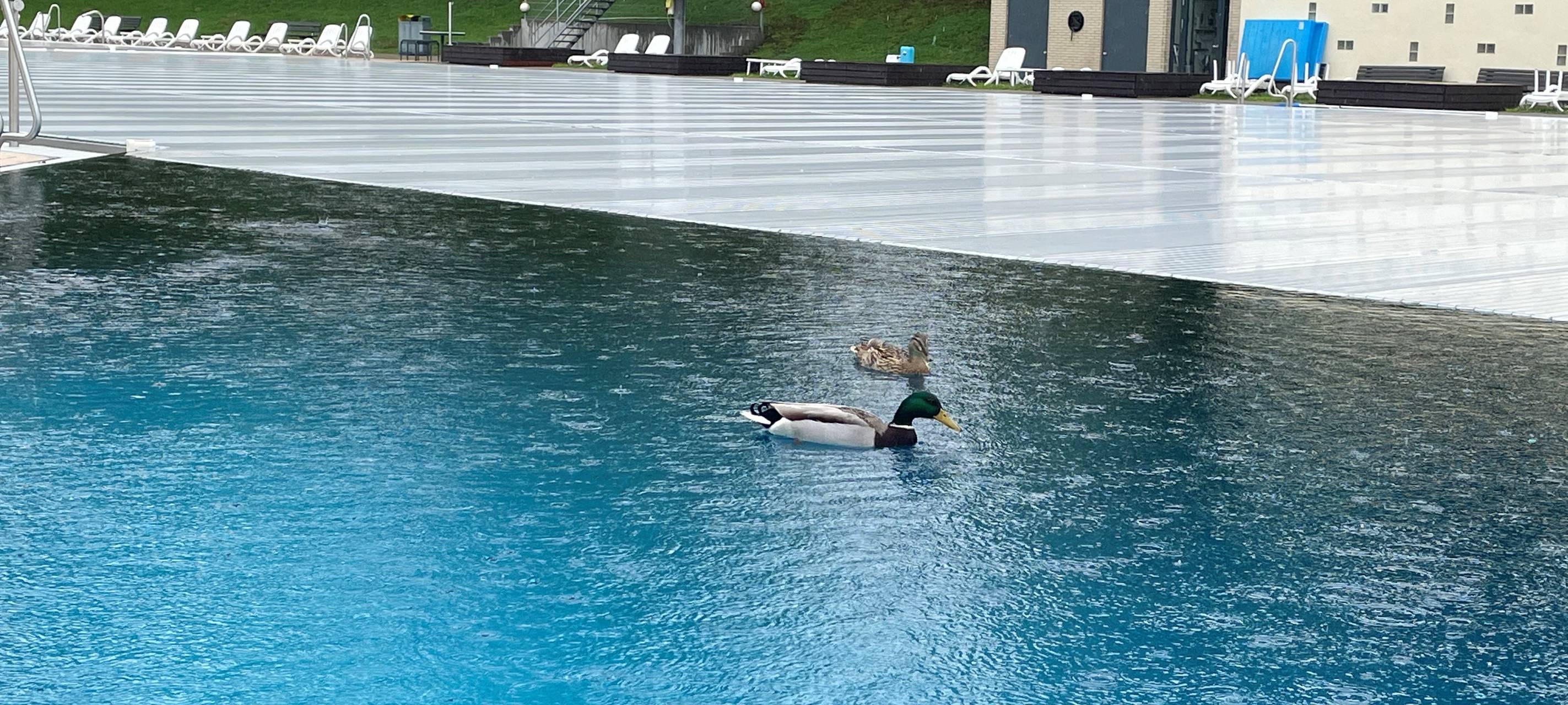 Aachen: Freibadsaison startet am 1. Mai