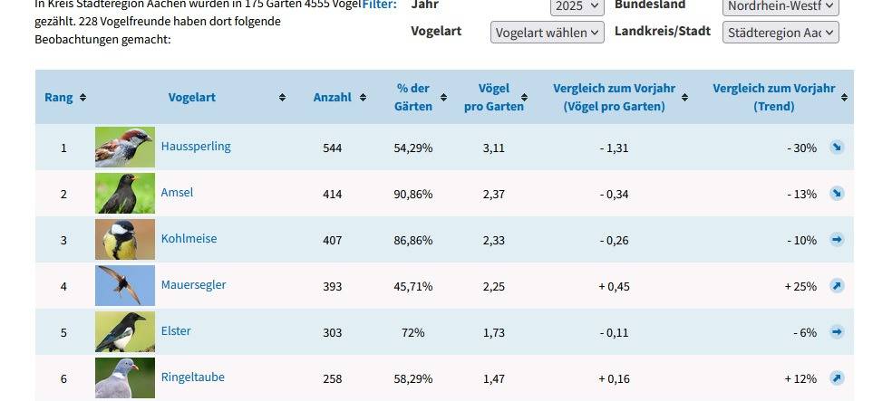 NABU-Stunde der Gartenvögel: Sperling am häufigsten