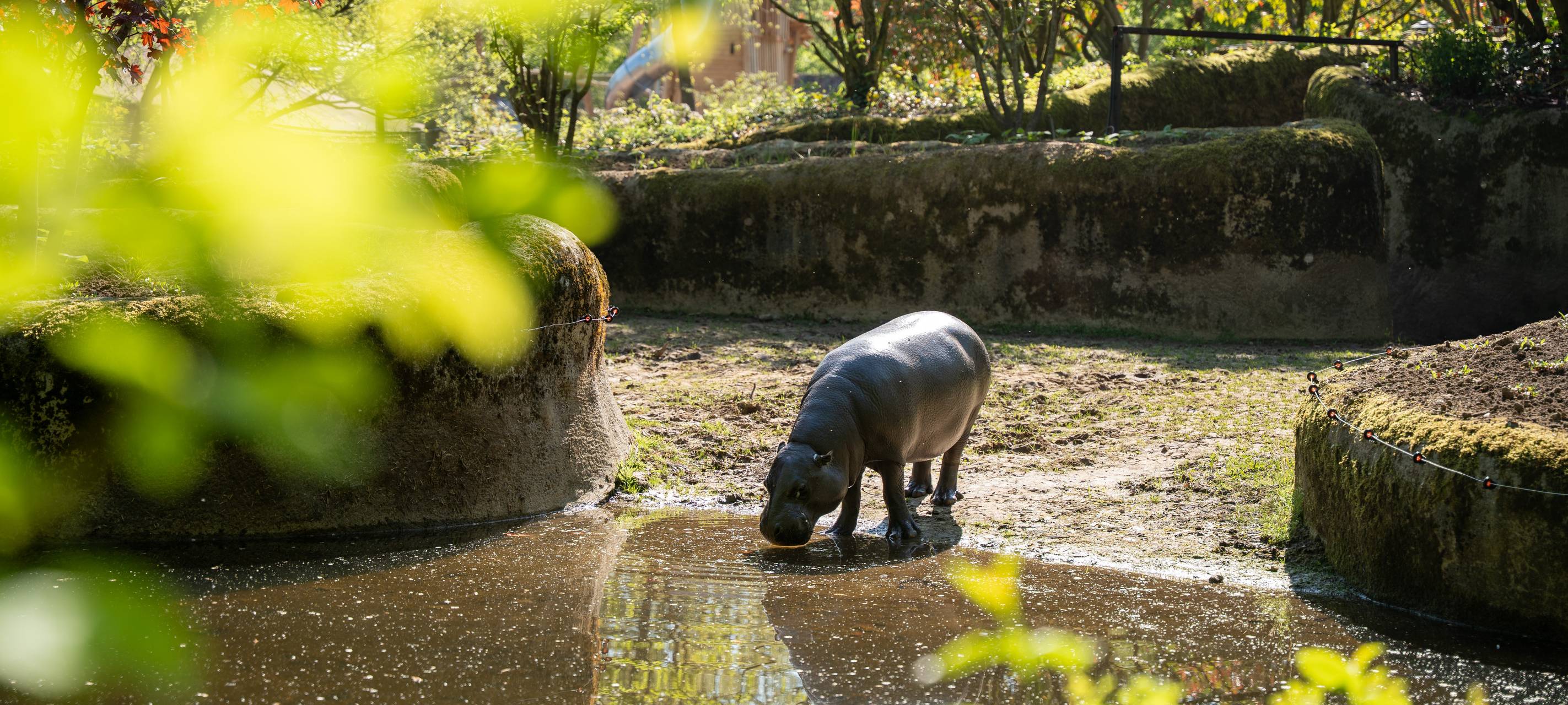 20 Jahre GaiaZOO in Kerkrade/NL