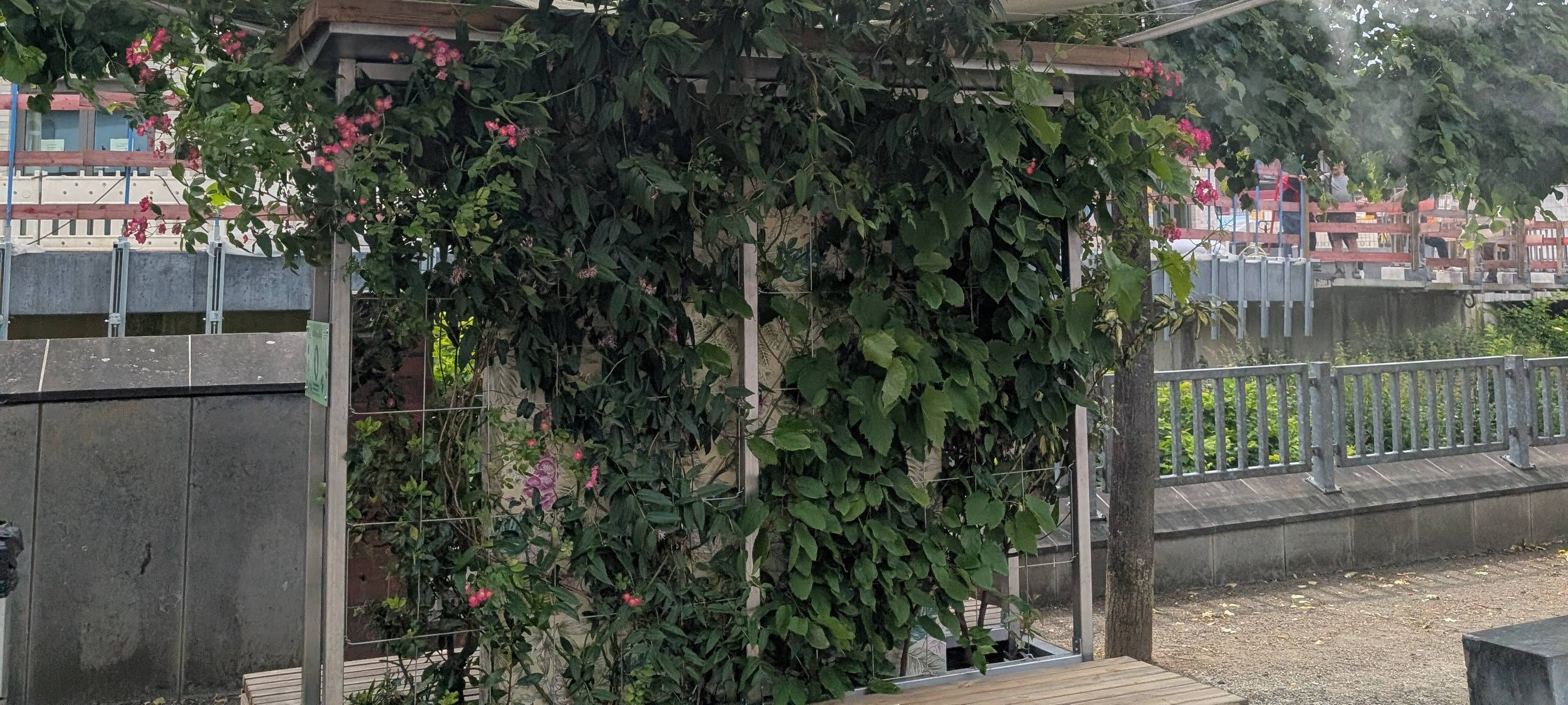 Maßnahmen gegen Hitze und Klimawandel in Herzogenrath