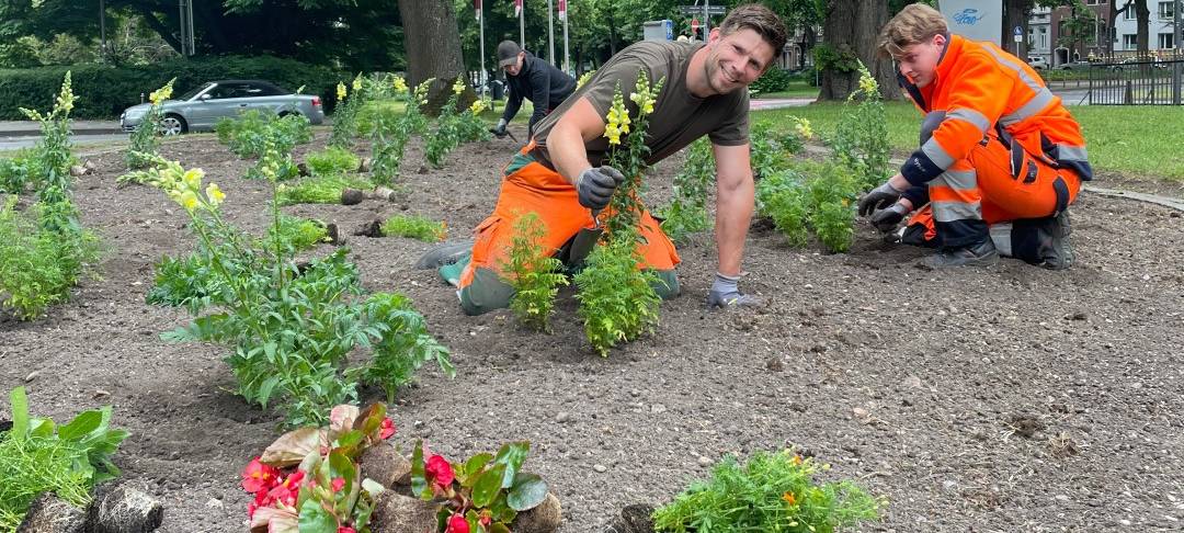 Aachens Sommerflor 2025