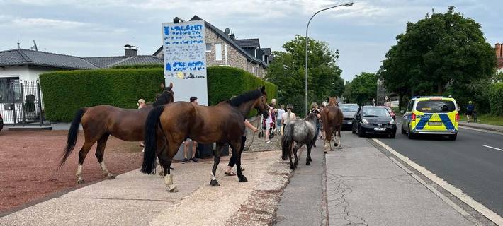 In Stolberg ist am Wochenende eine Pferdekolonne auf der Würselener Straße unterwegs gewesen.