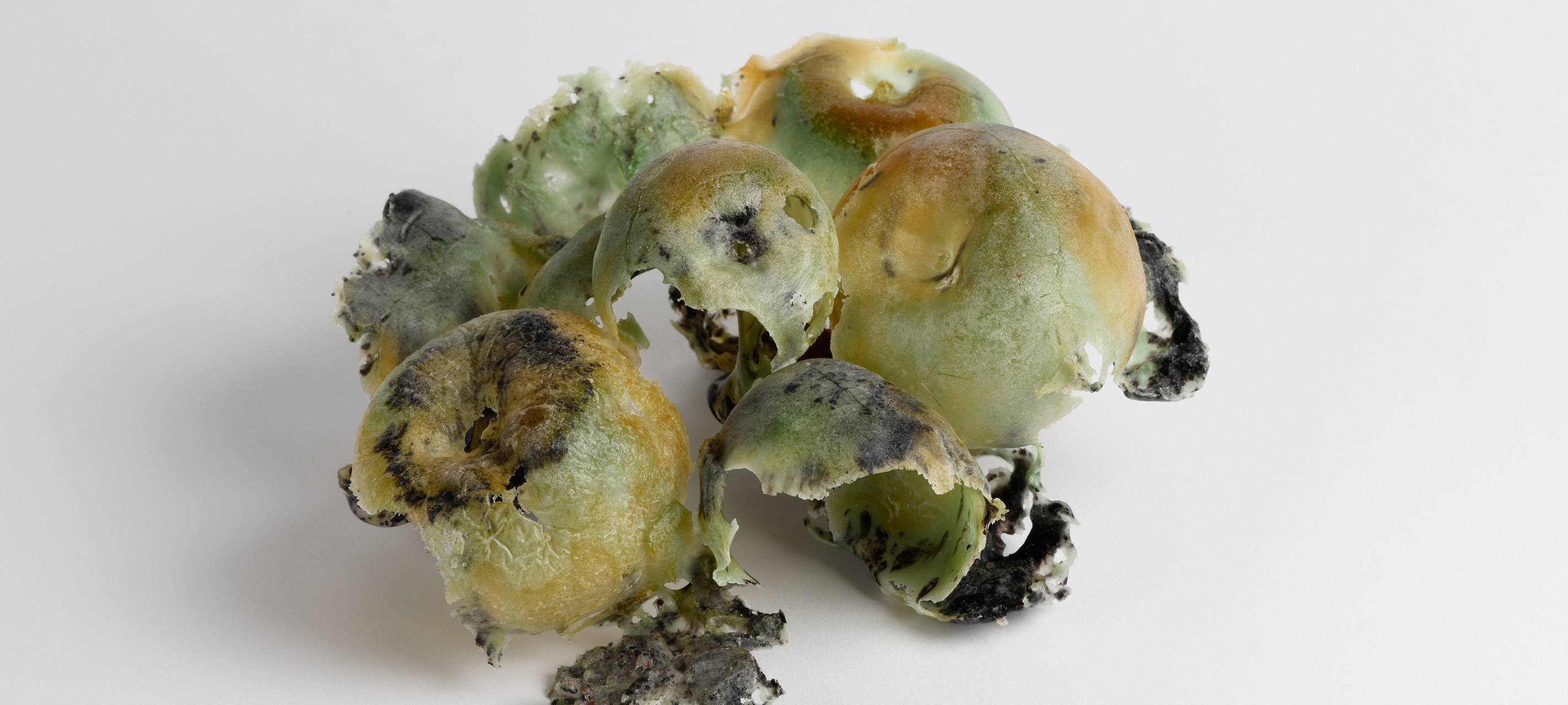 Staatspreis MANUFACTUM nach Aachen und Stolberg