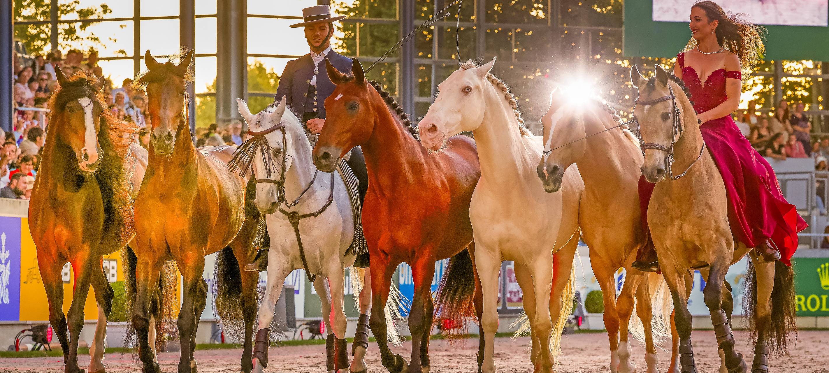 CHIO am Montag: Spanien am Markt