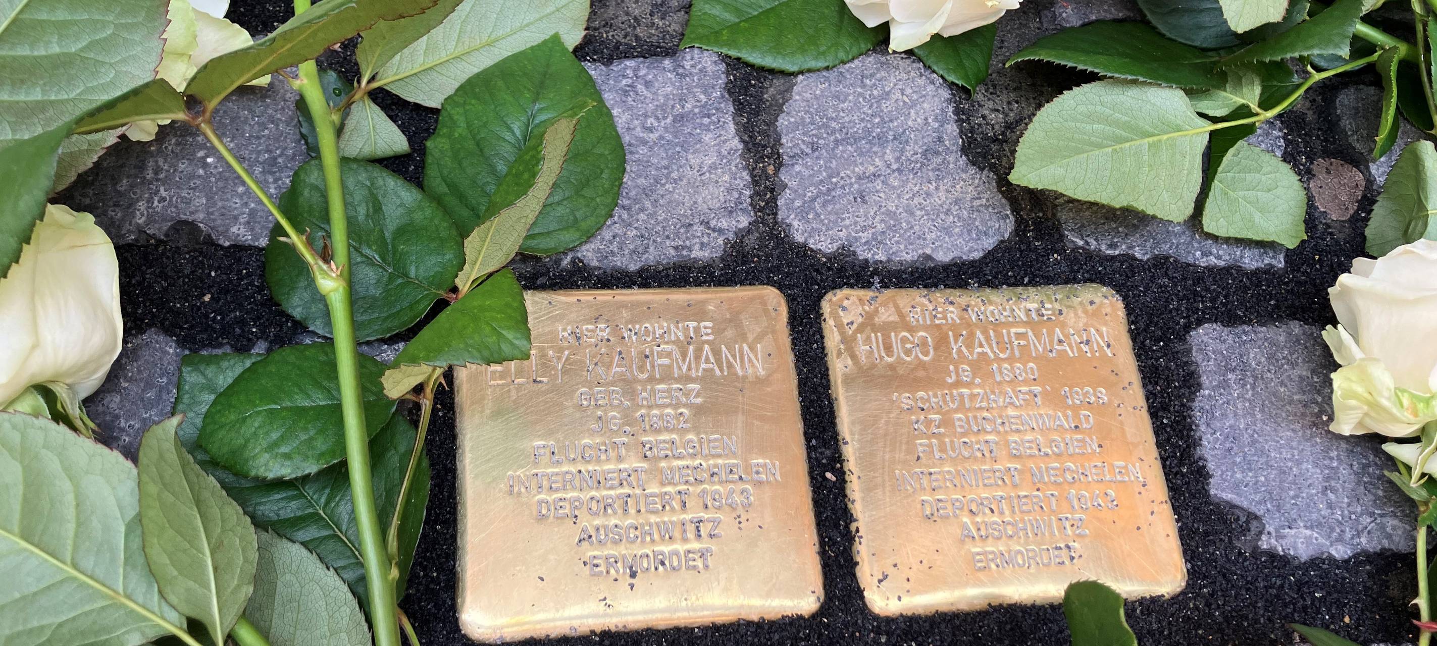 Stolpersteine in Aachen beschädigt