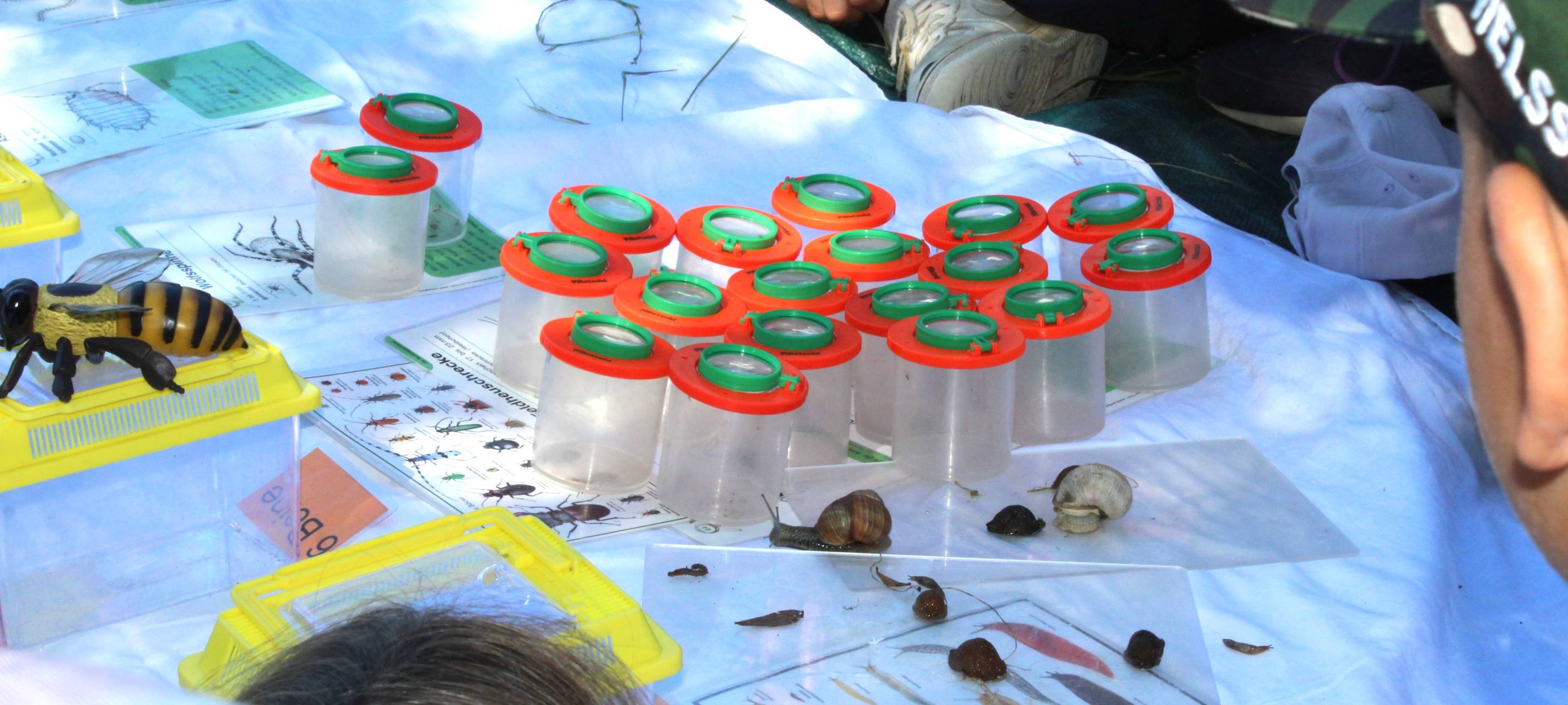 Rekordjahr für die Bildungszugabe in der StädteRegion