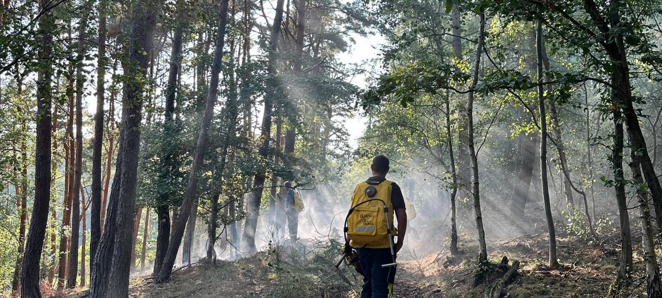 Großer Waldbrand in der Eifel
