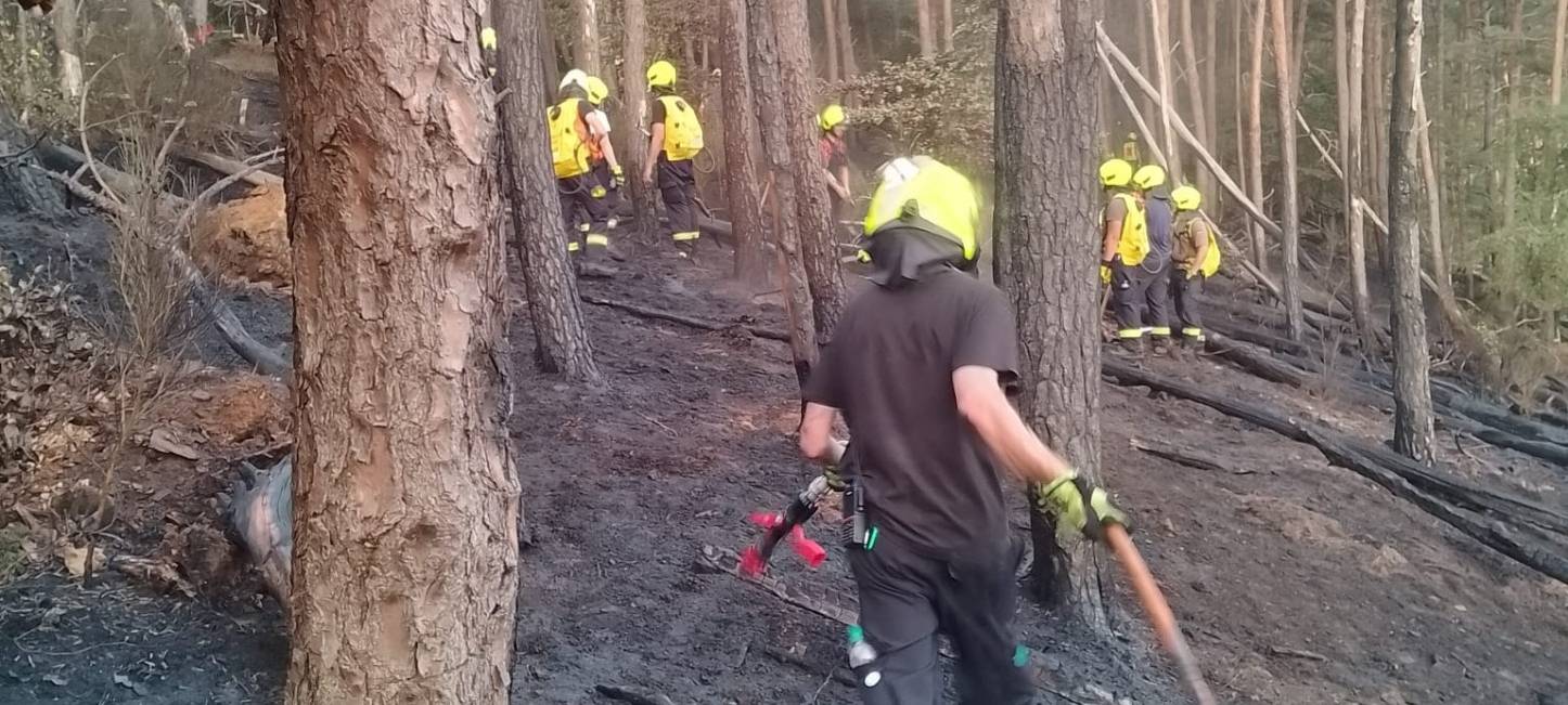 Waldbrandgefahr bleibt