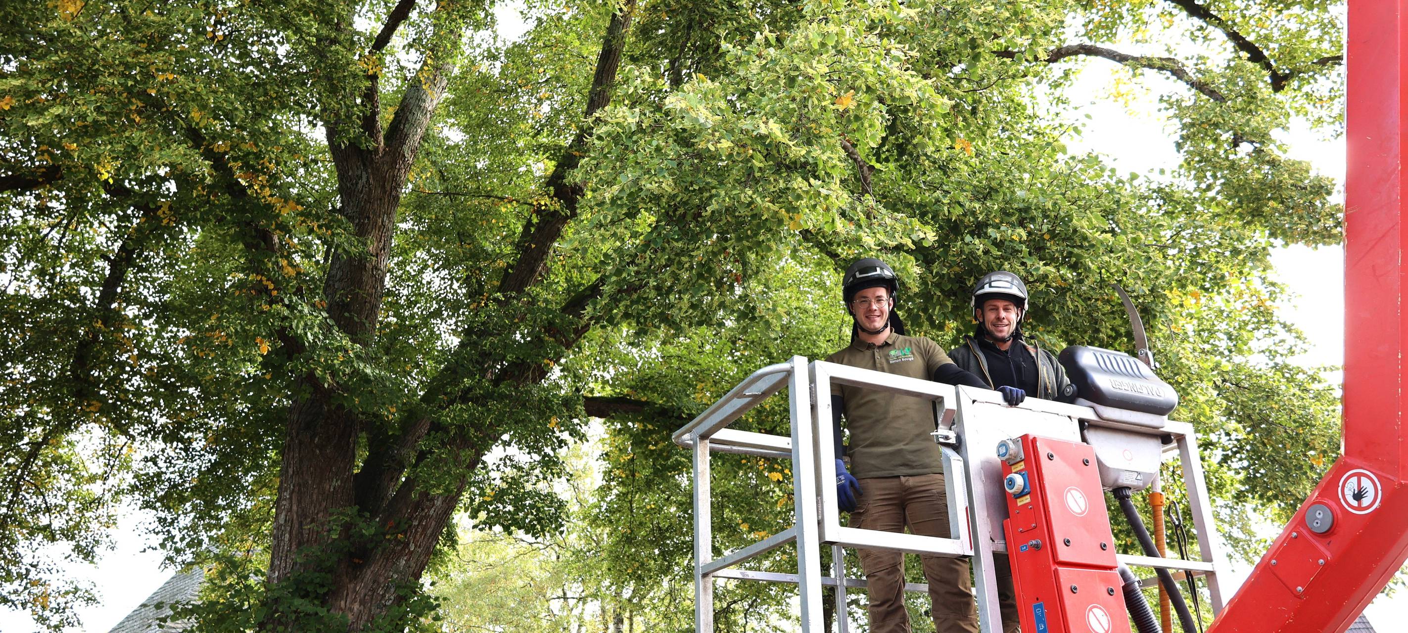 Kontrolle der Naturdenkmale in der StädteRegion
