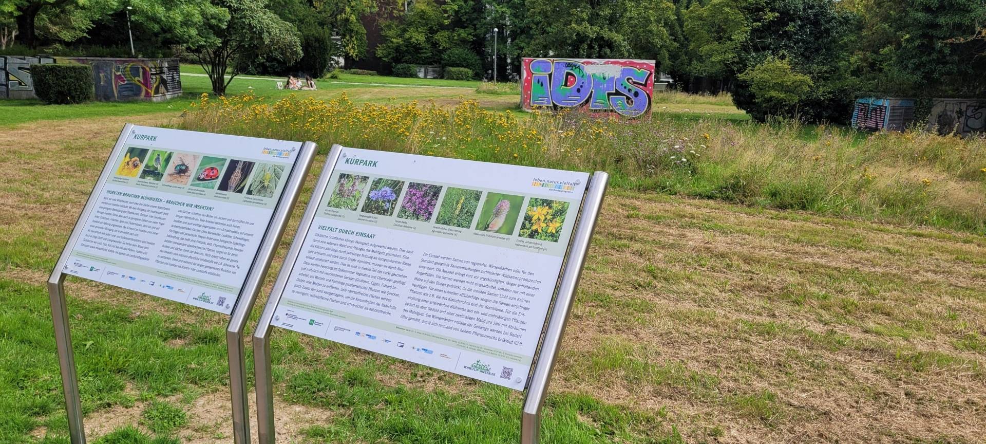 Neue Wildpflanzenwiesen in Aachen