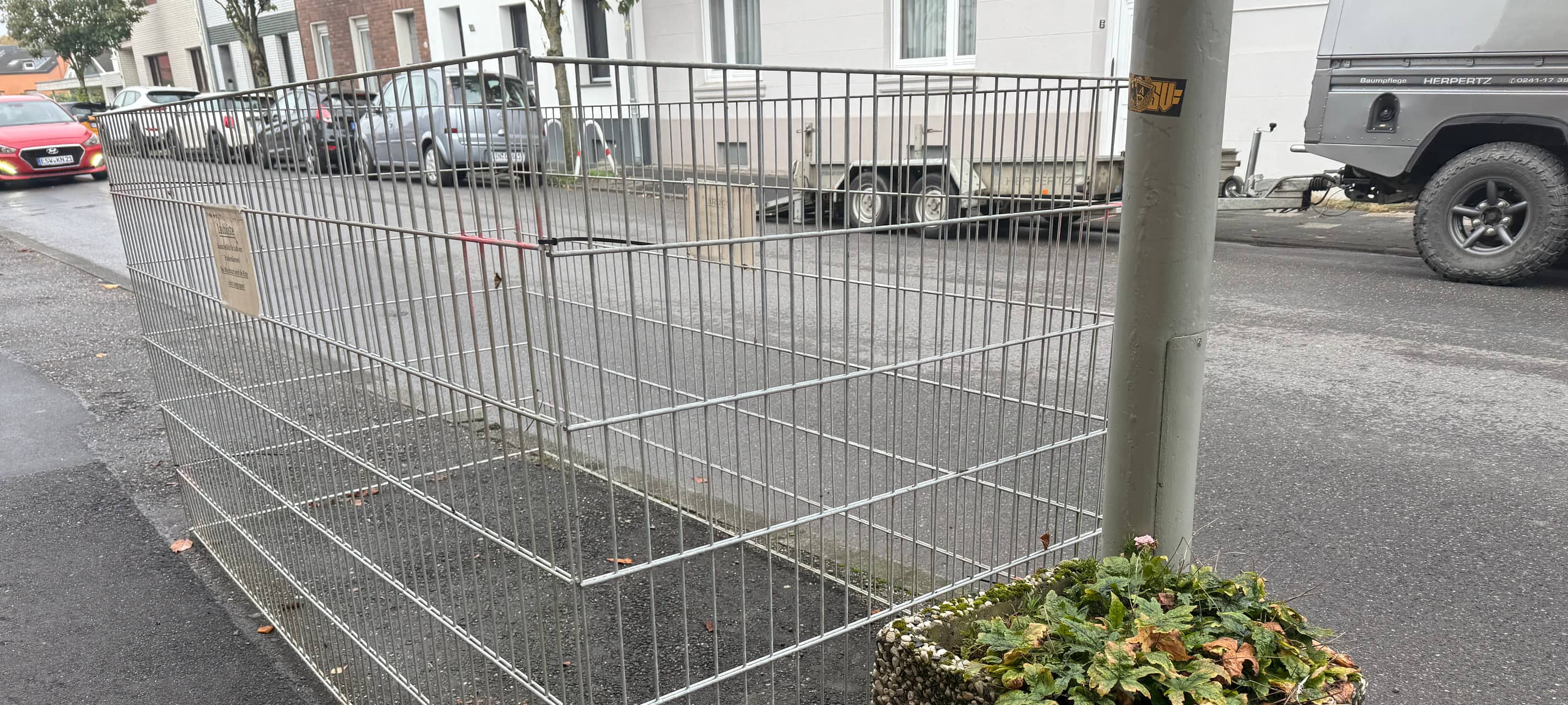 Würselens Laubkisten stehen wieder