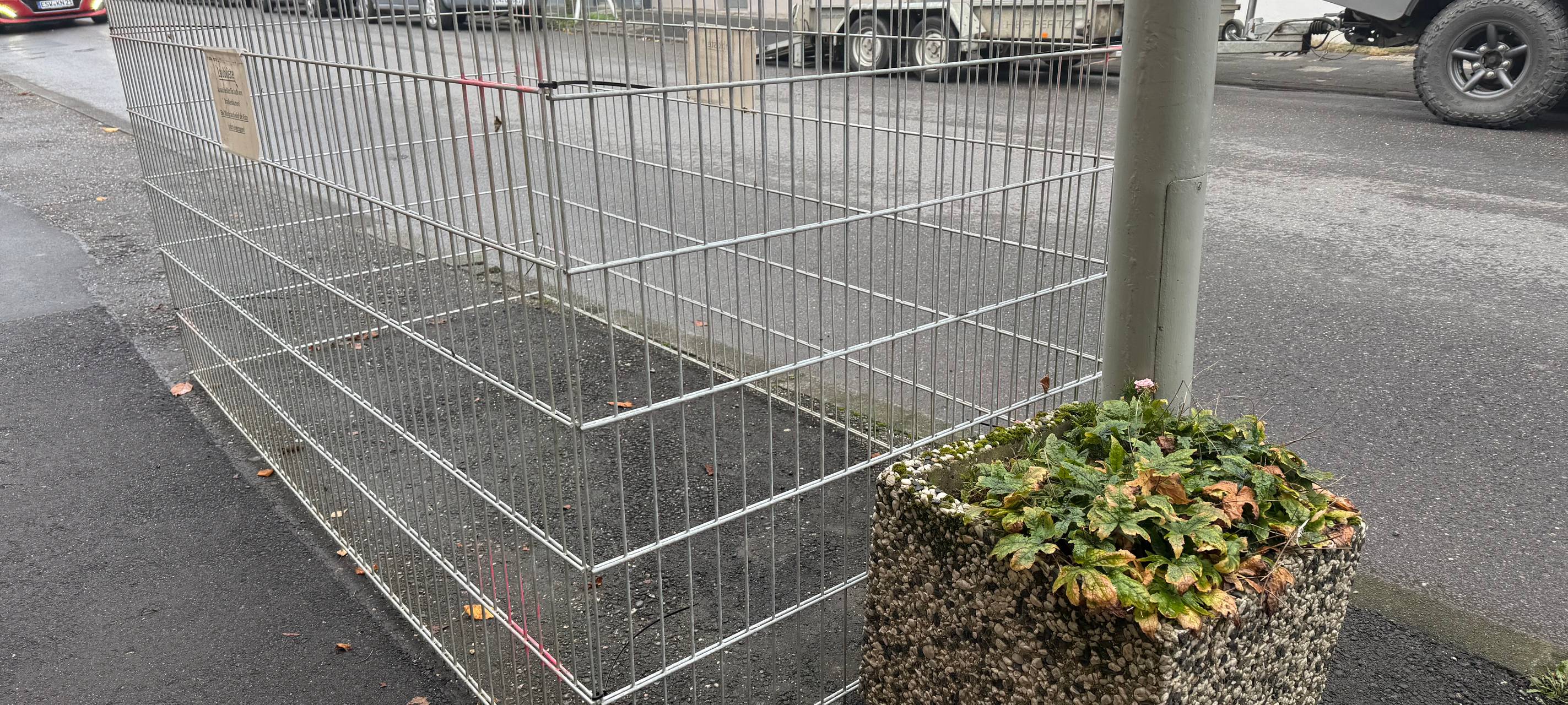 Würselens Laubkisten stehen wieder