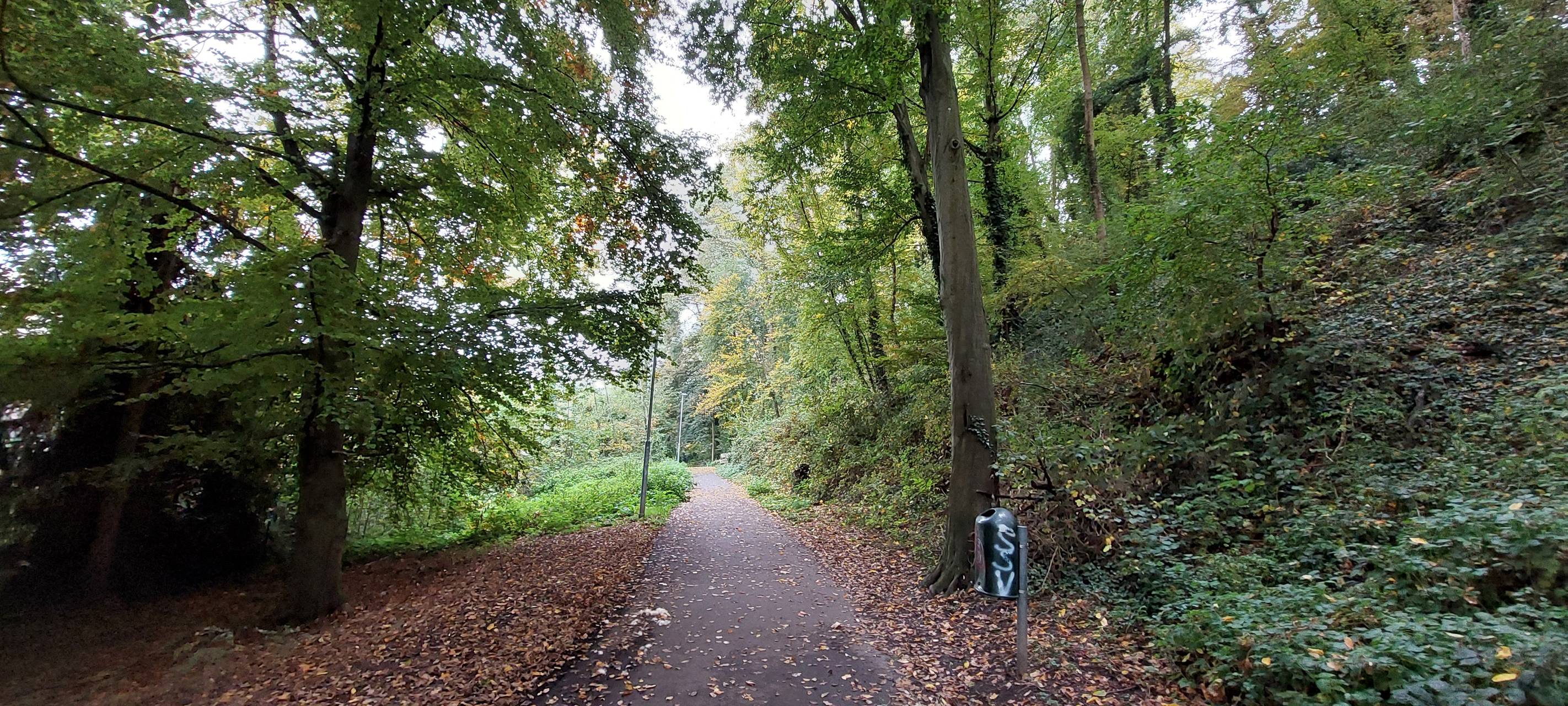Weisweiler: Bewegungsmelder sorgen für Energieeinsparung